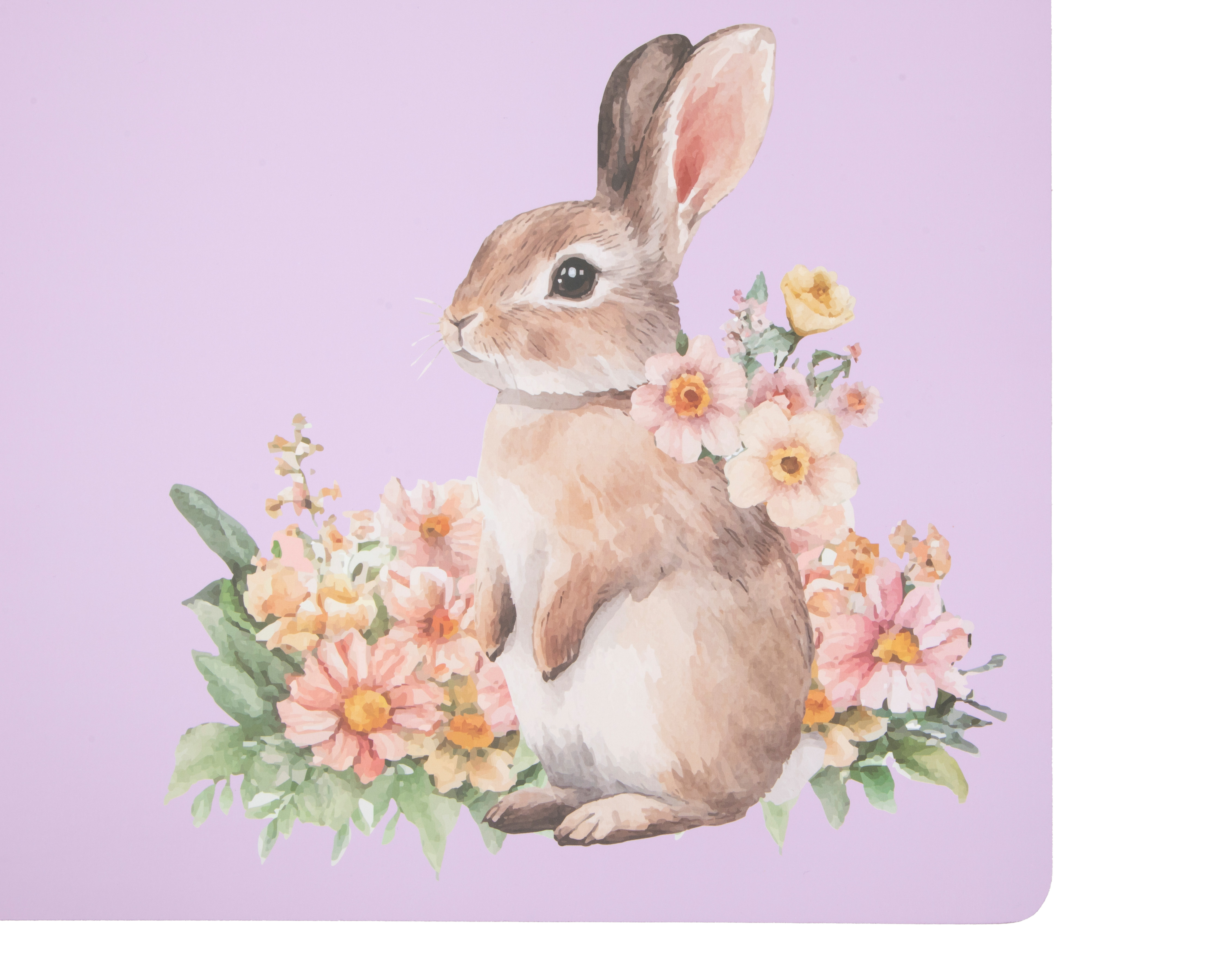 Foto 5 pulgar | Foto 4 | Mantel Individual Multicolor Starhaus Habana 4 Piezas