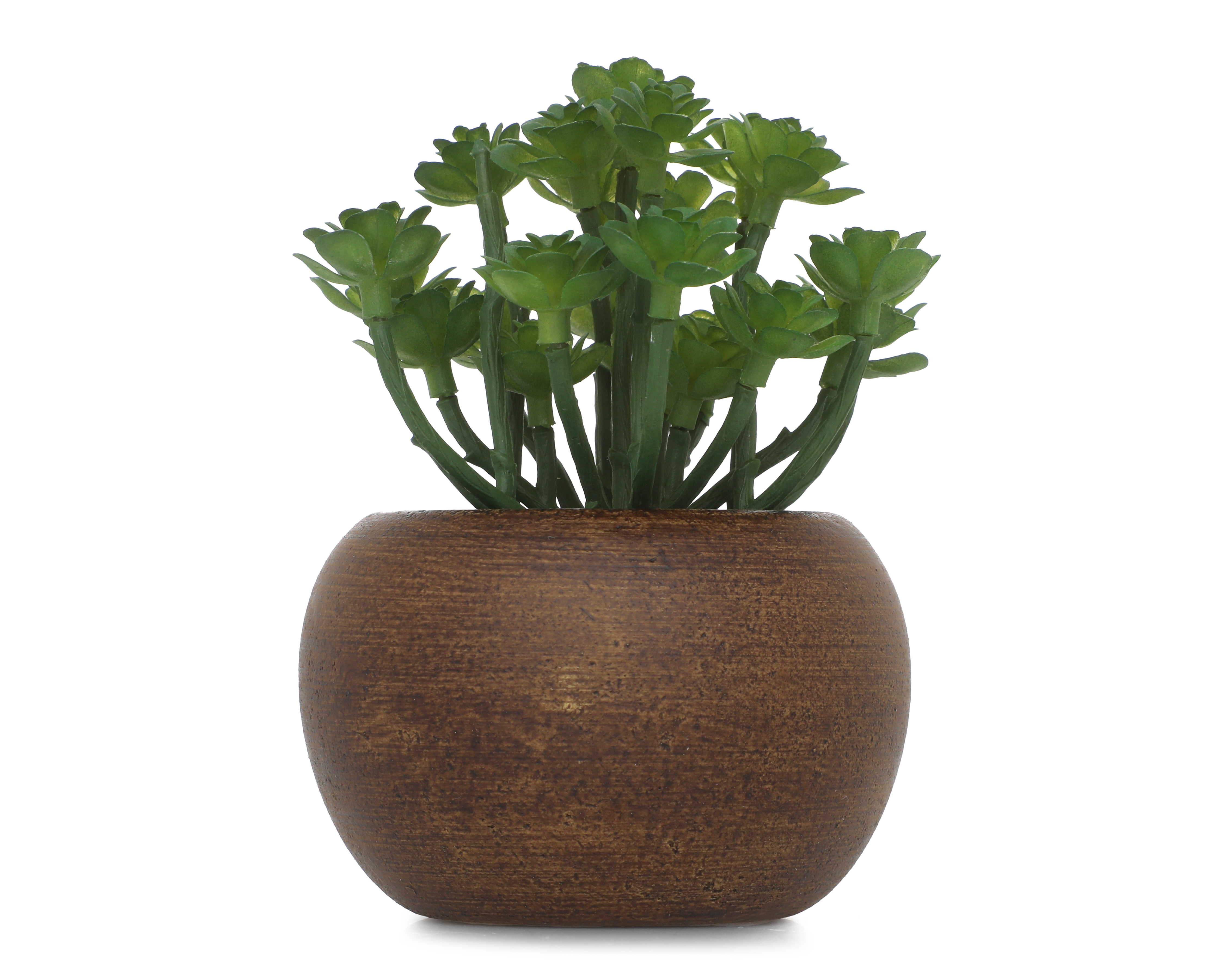 Suculenta Artificial con Maceta Starhaus 13 cm