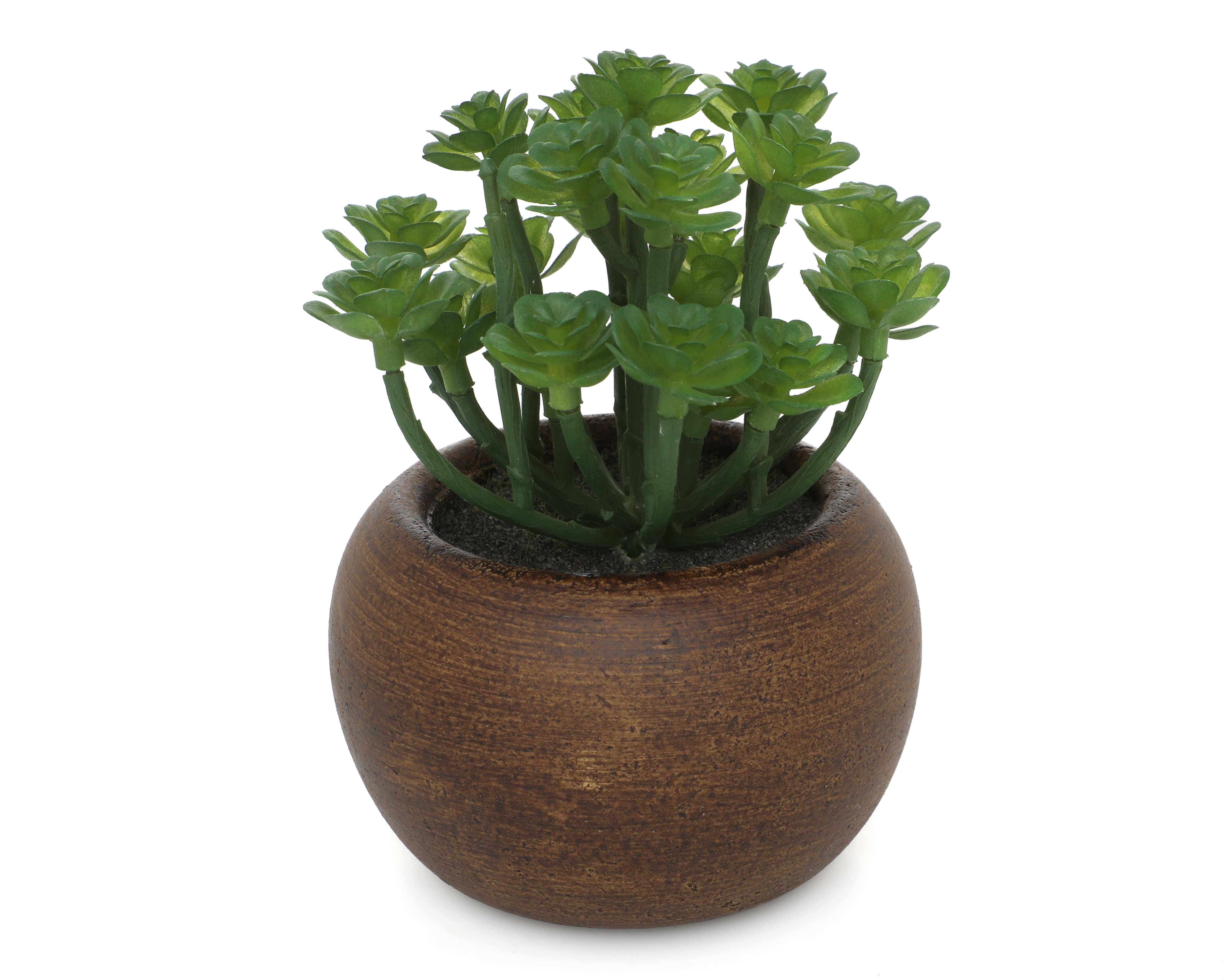 Foto 2 | Foto 2 | Suculenta Artificial con Maceta Starhaus 13 cm