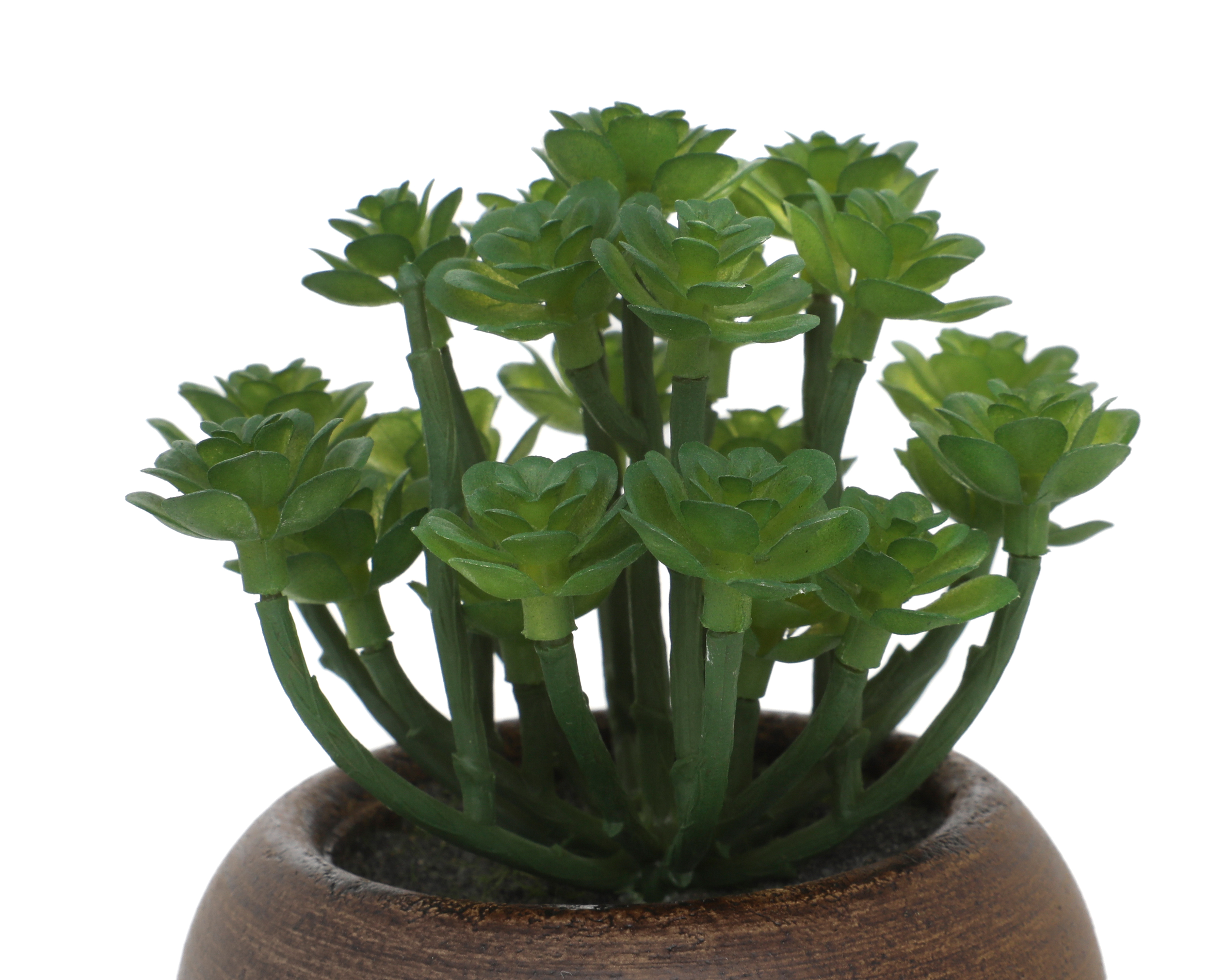 Foto 3 | Foto 3 | Suculenta Artificial con Maceta Starhaus 13 cm