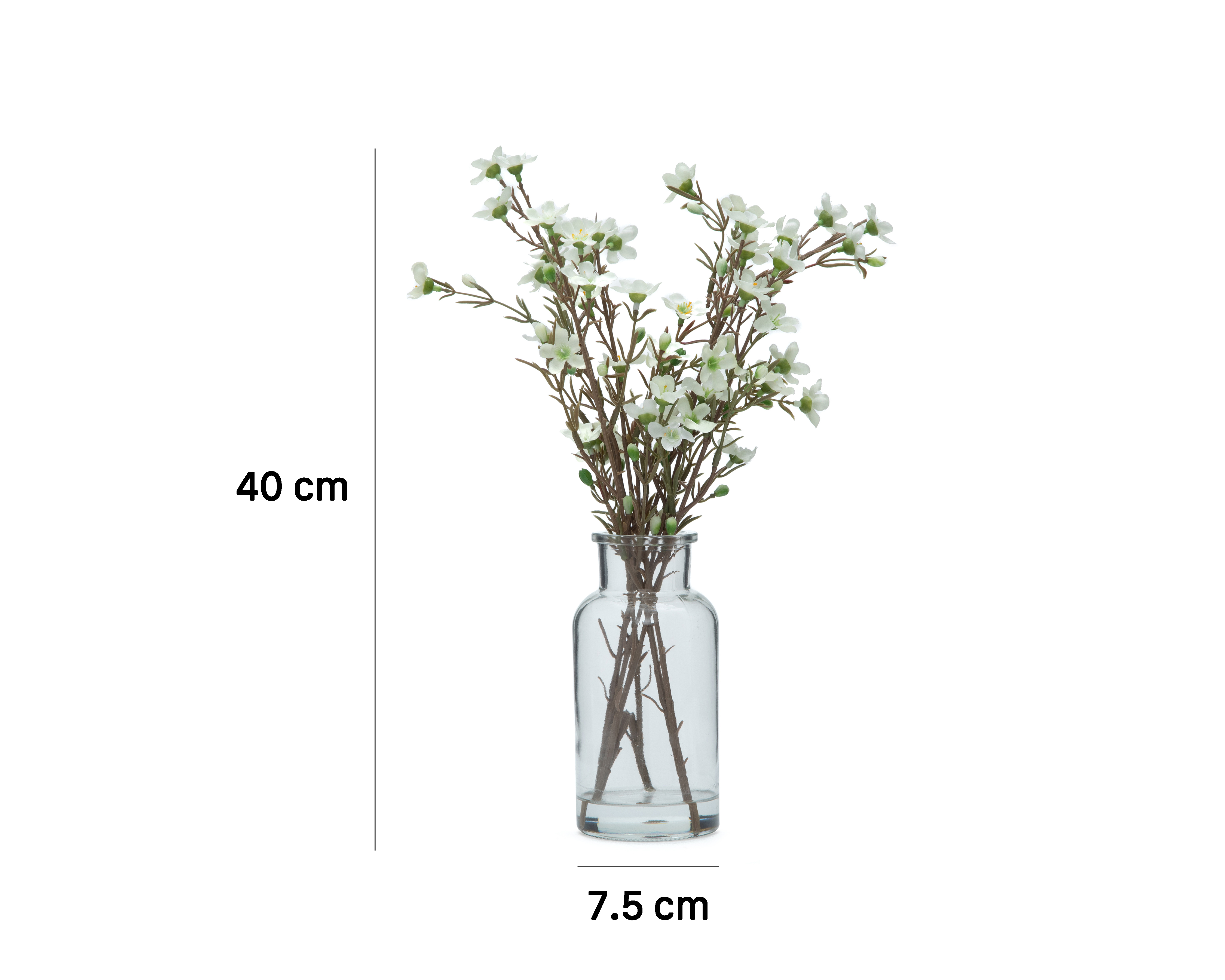 Foto 5 | Foto 5 | Florero de Vidrio Starhaus Luzor