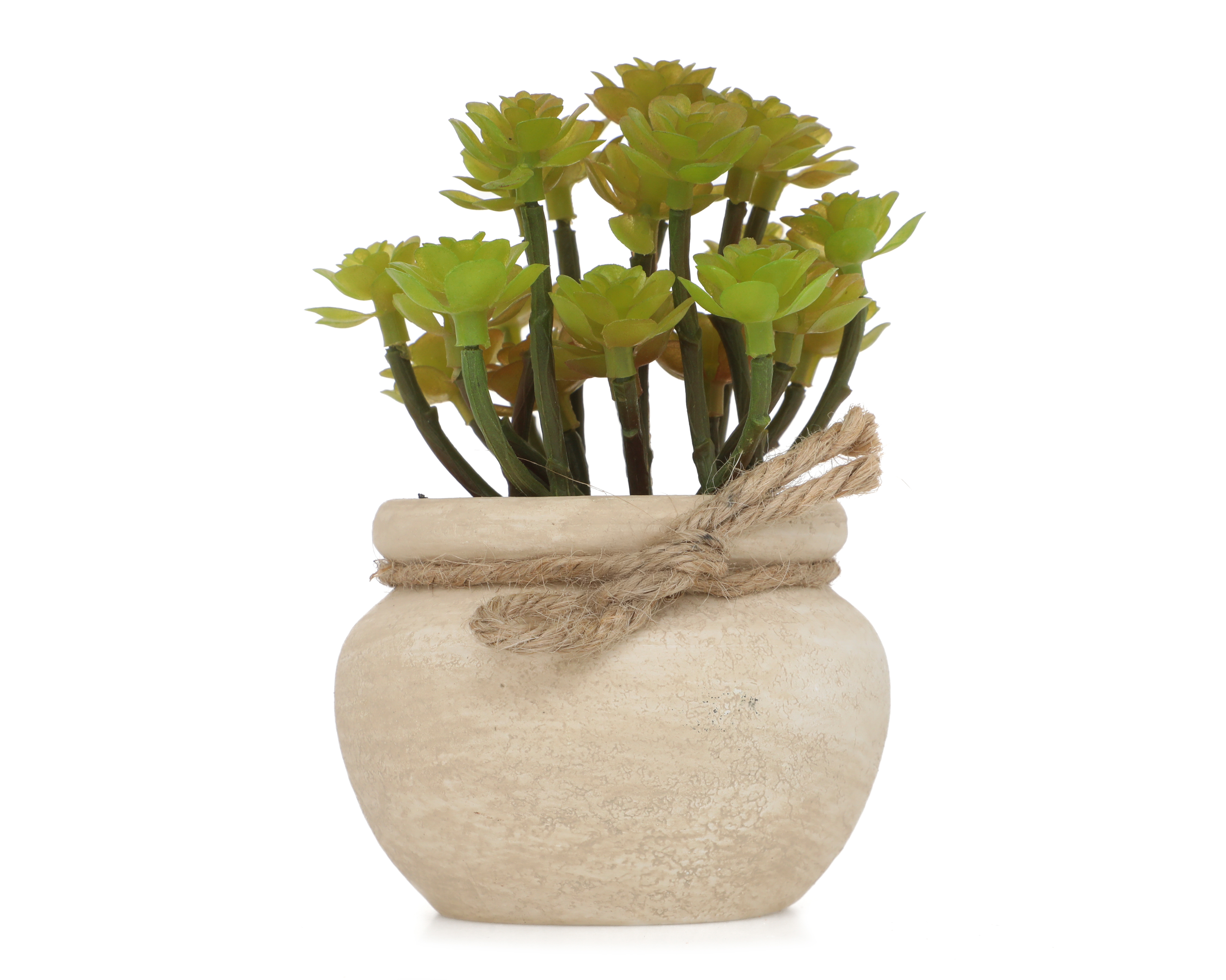 Suculenta Artificial Selvera de Plástico