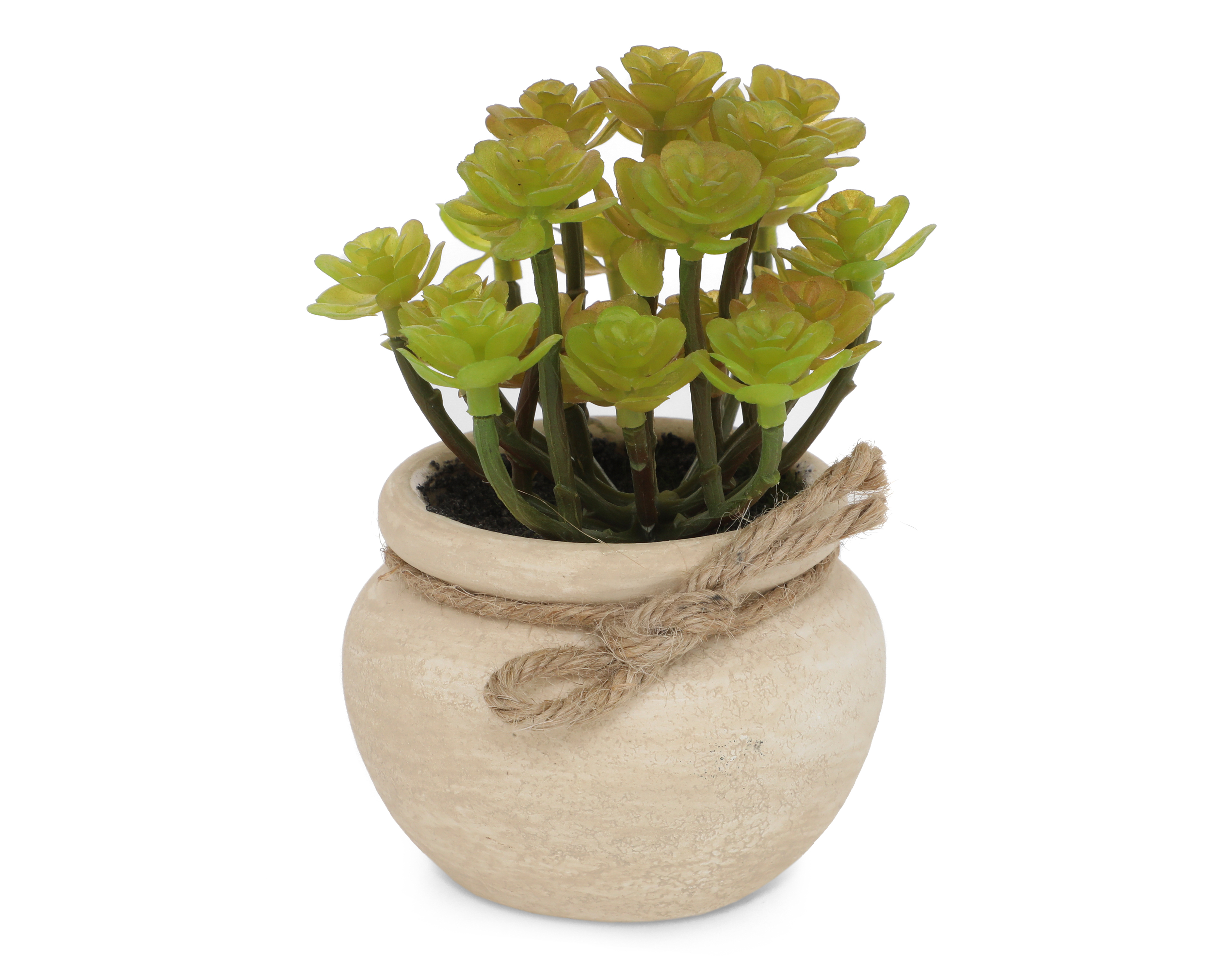 Foto 3 pulgar | Foto 2 | Suculenta Artificial Selvera de Plástico