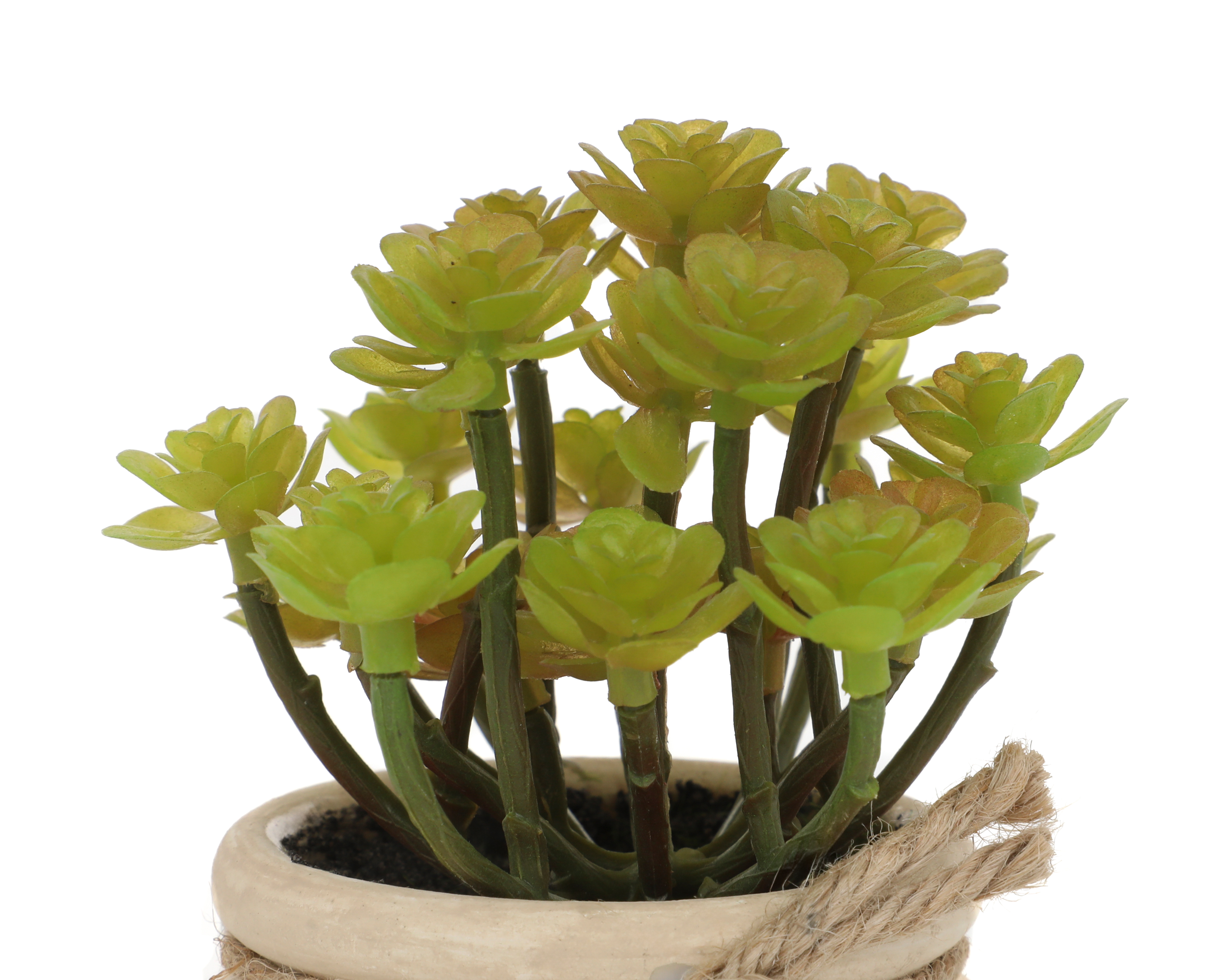 Foto 4 pulgar | Foto 3 | Suculenta Artificial Selvera de Plástico