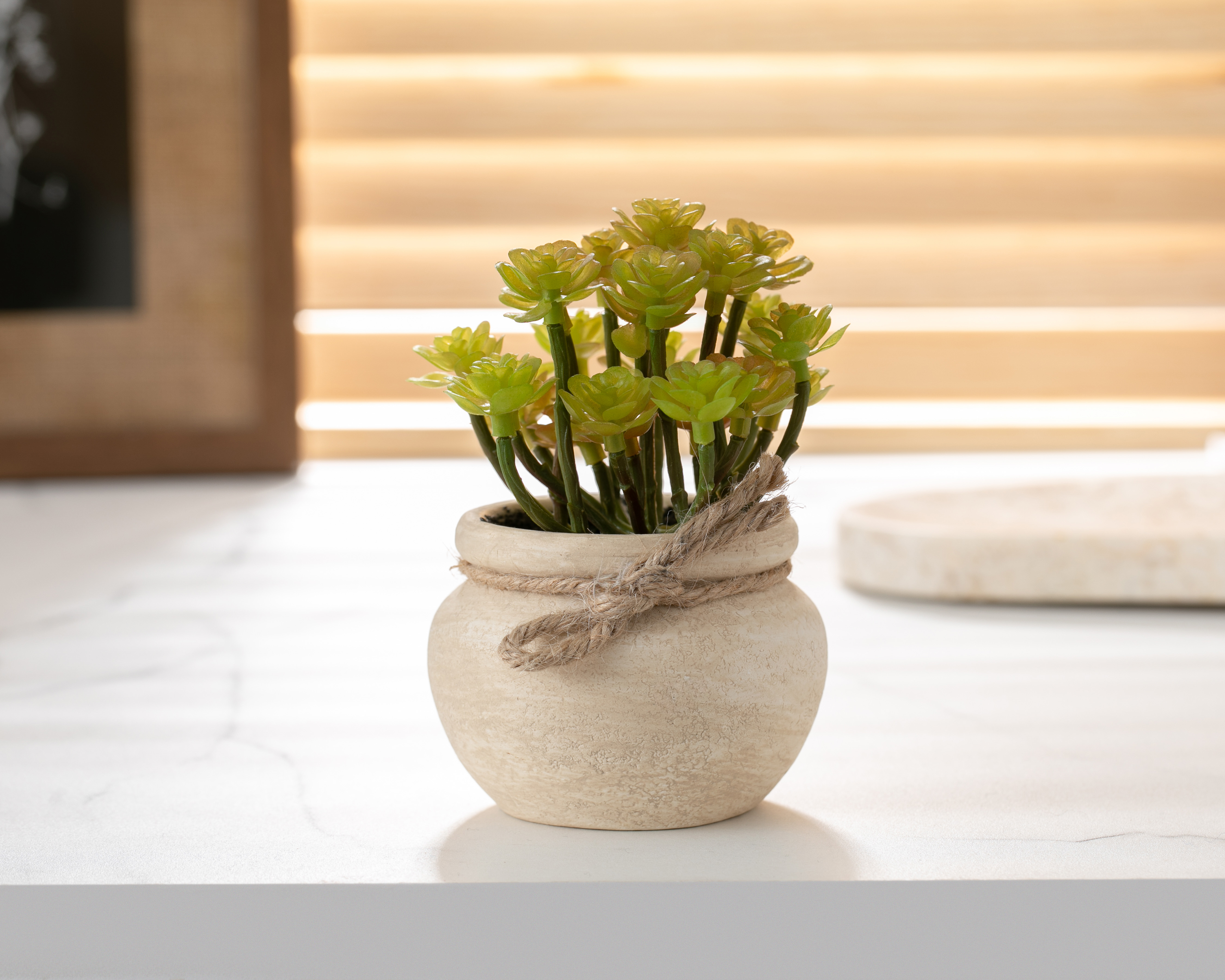 Foto 4 | Foto 4 | Suculenta Artificial Selvera de Plástico