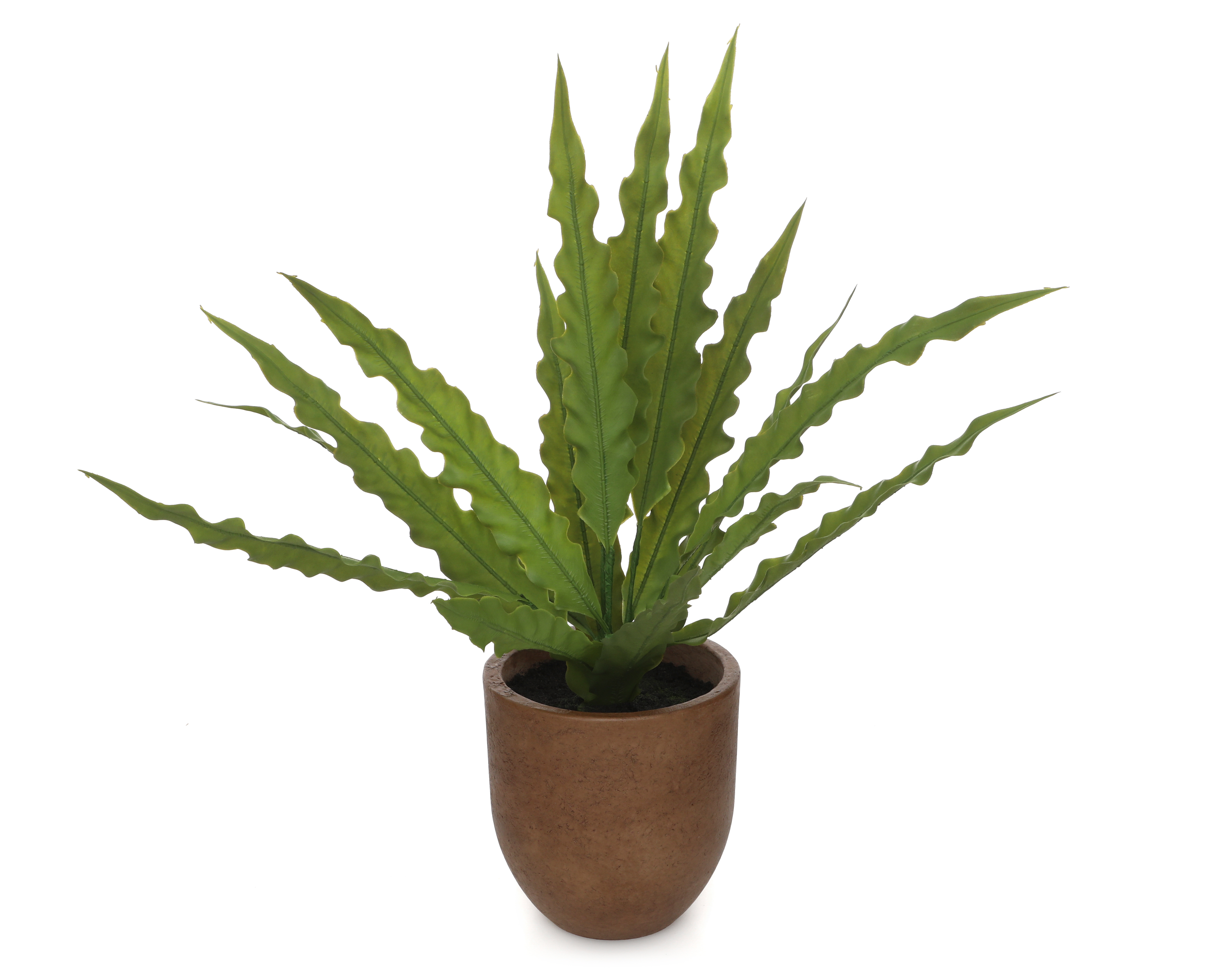 Foto 2 | Foto 2 | Helecho Artificial con Maceta Starhaus 46 cm