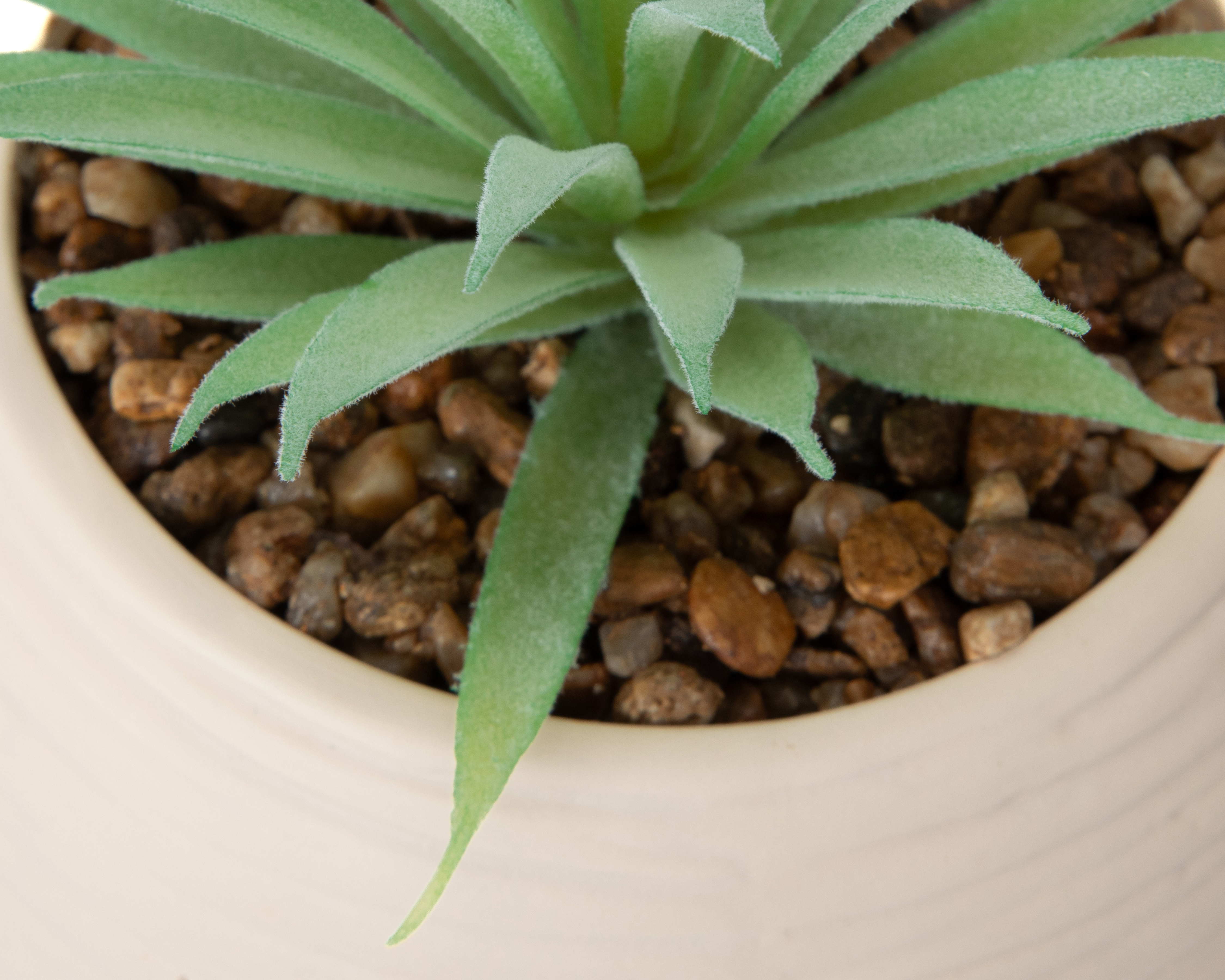 Foto 4 pulgar | Foto 3 | Suculenta Artificial con Maceta Starhaus 20 cm