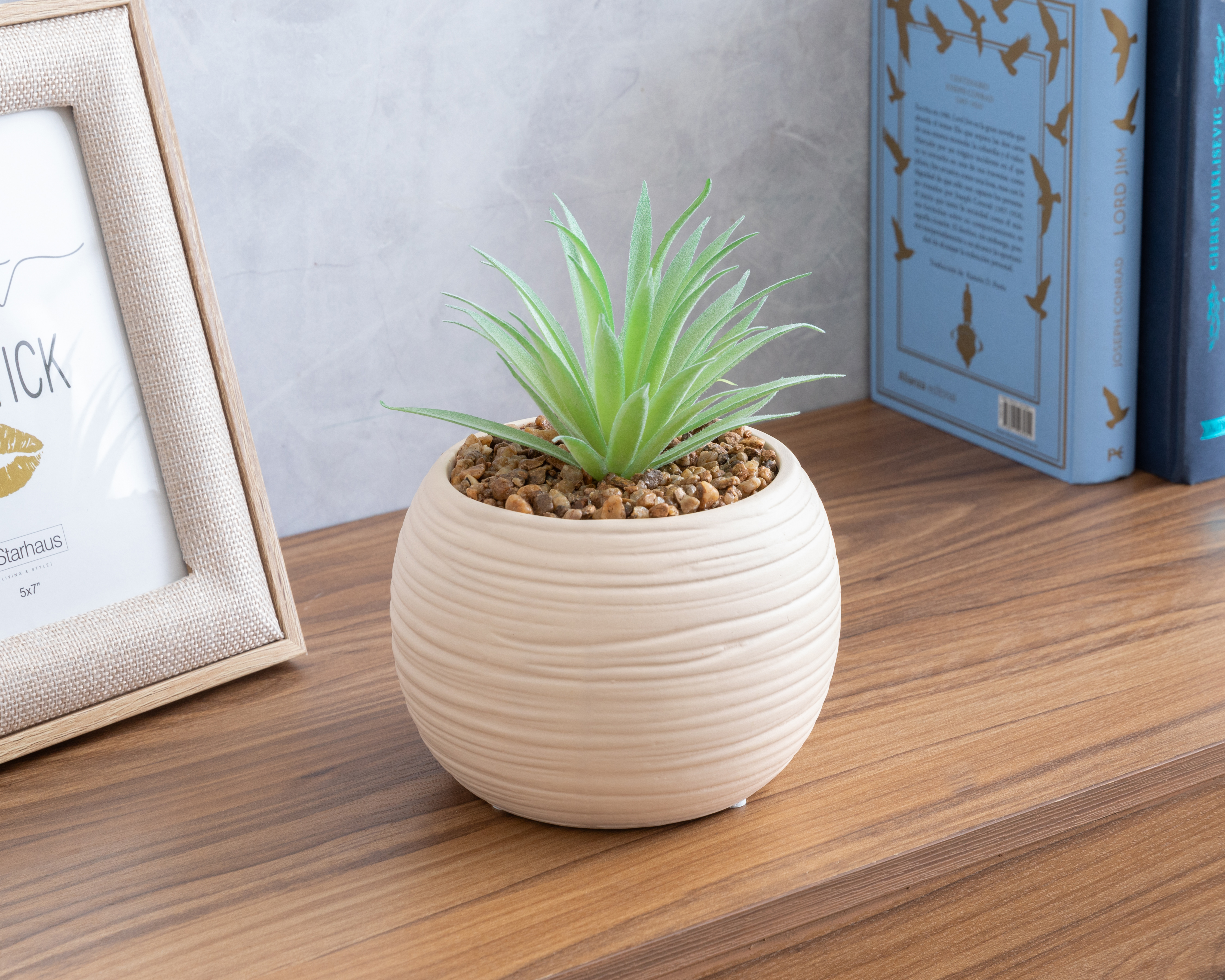 Foto 5 pulgar | Foto 4 | Suculenta Artificial con Maceta Starhaus 20 cm