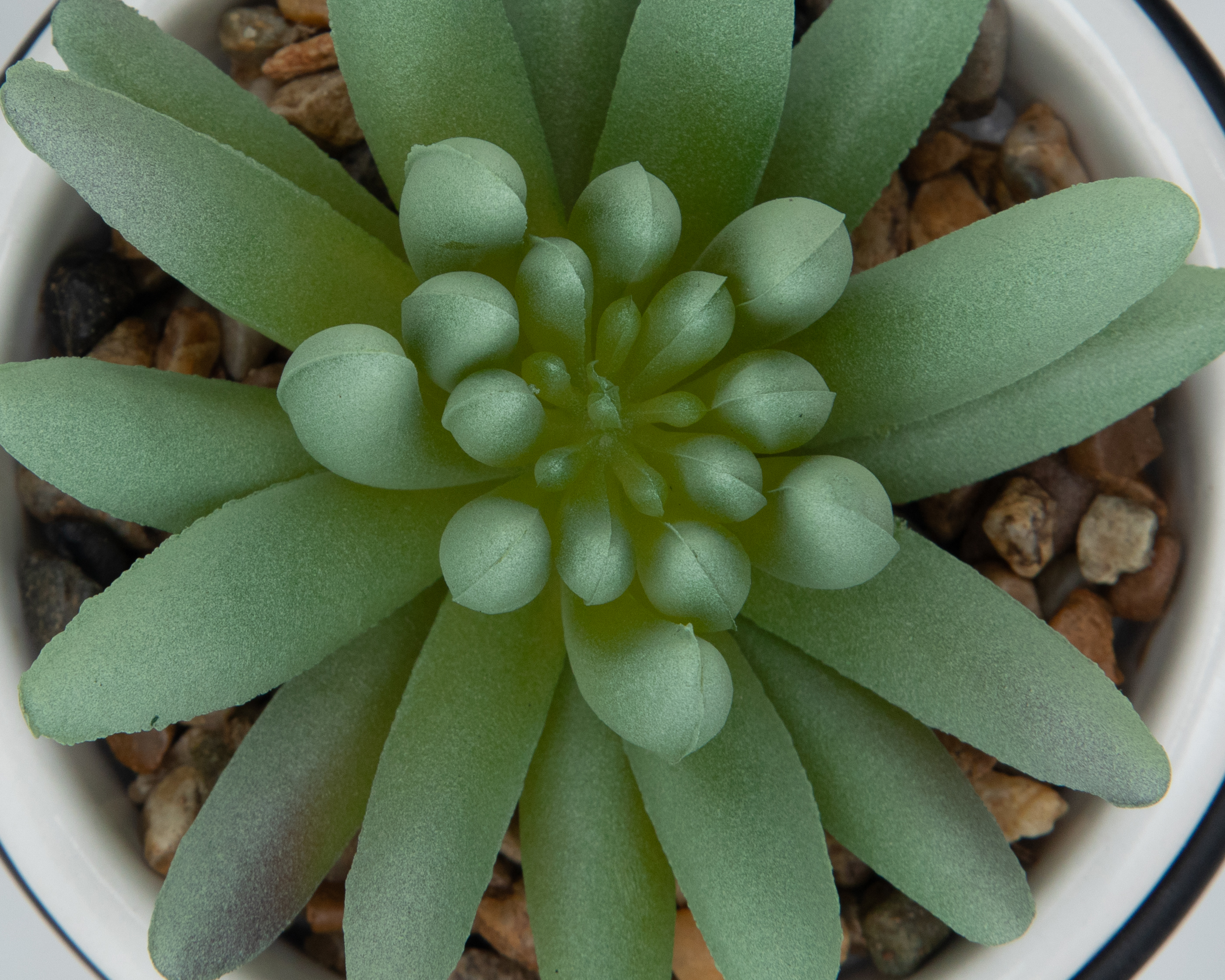 Foto 3 | Foto 3 | Suculenta Artificial con Maceta Setere 14 cm