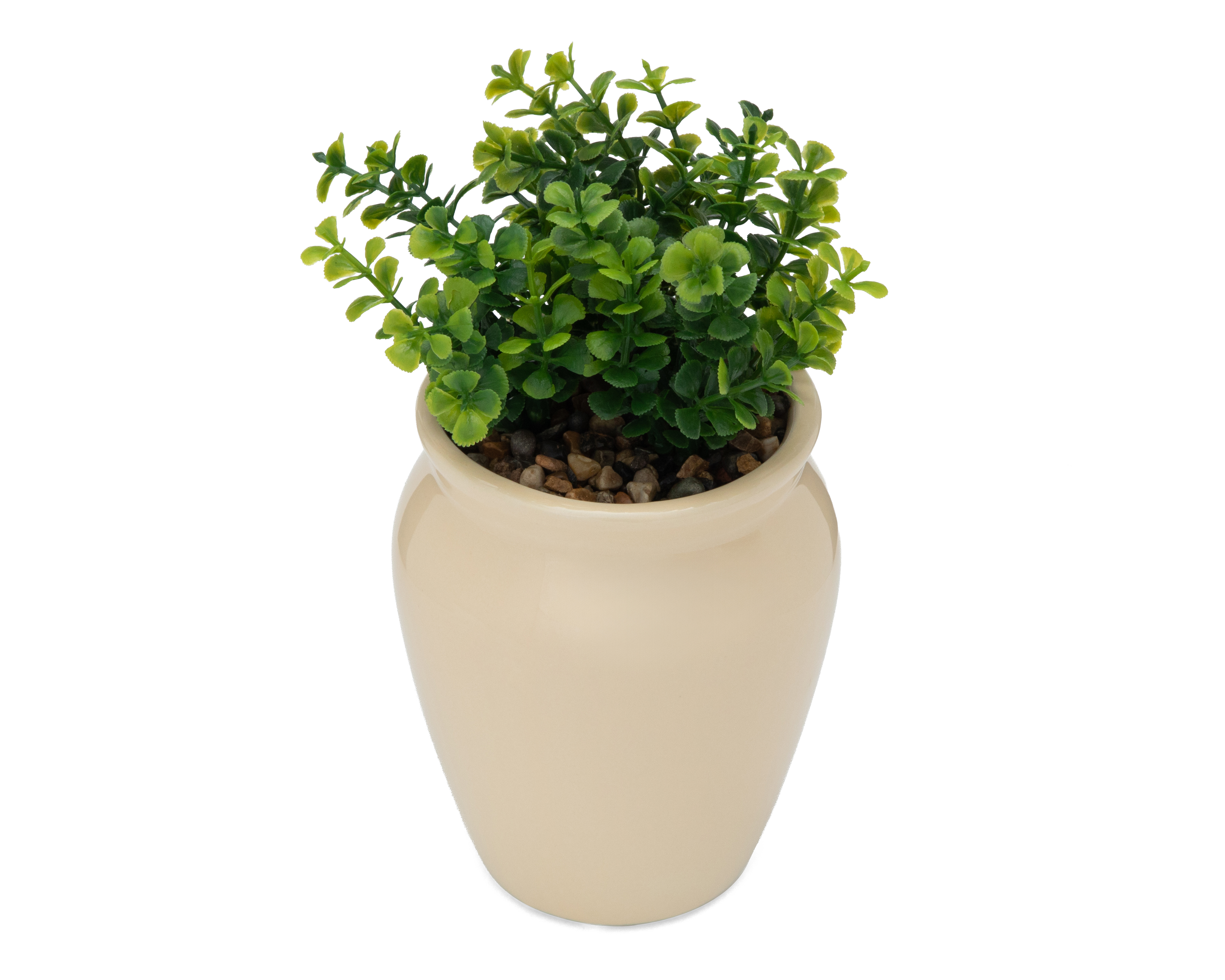 Foto 3 pulgar | Foto 2 | Suculenta Artificial con Maceta Starhaus 19 cm