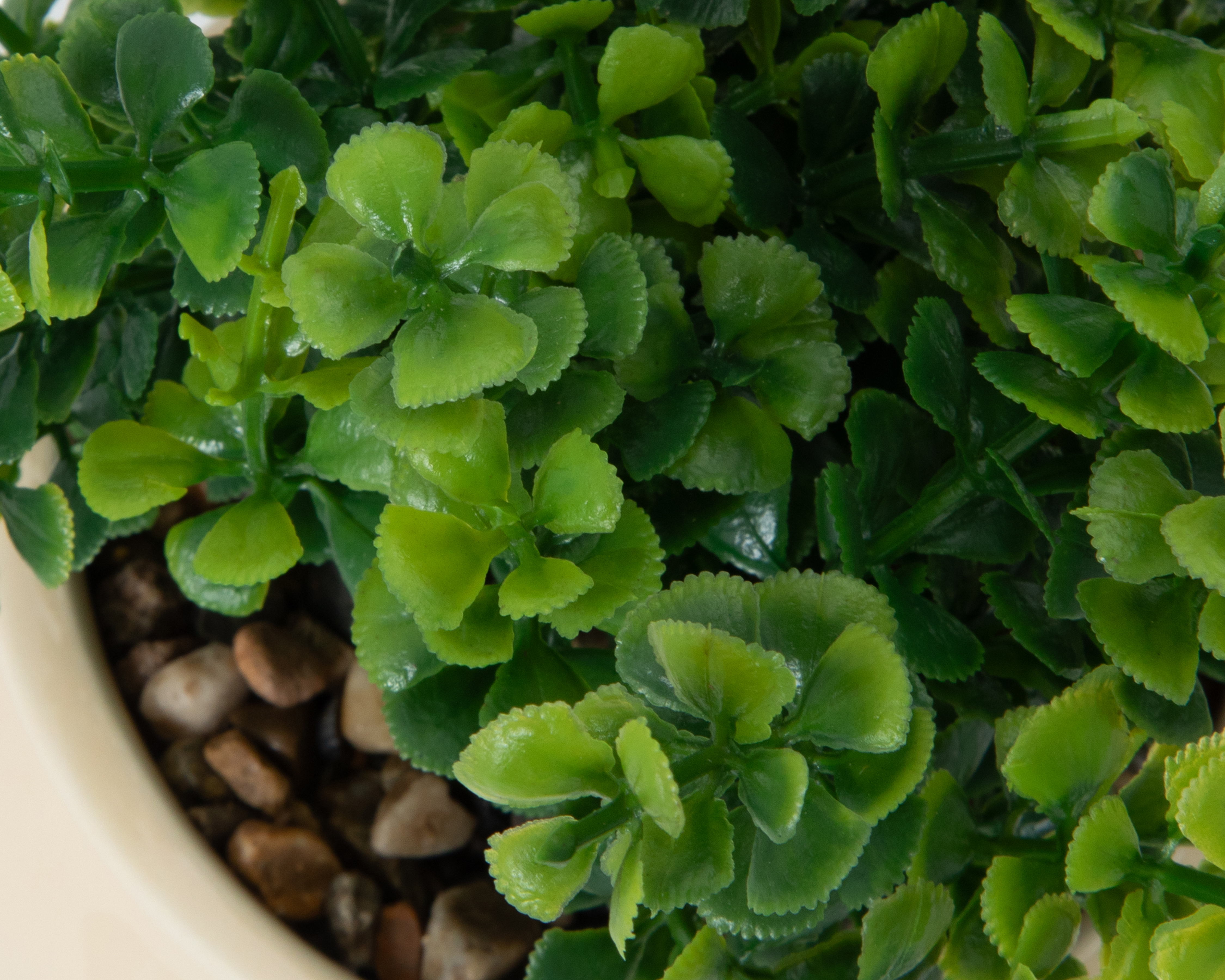 Foto 3 | Foto 3 | Suculenta Artificial con Maceta Starhaus 19 cm