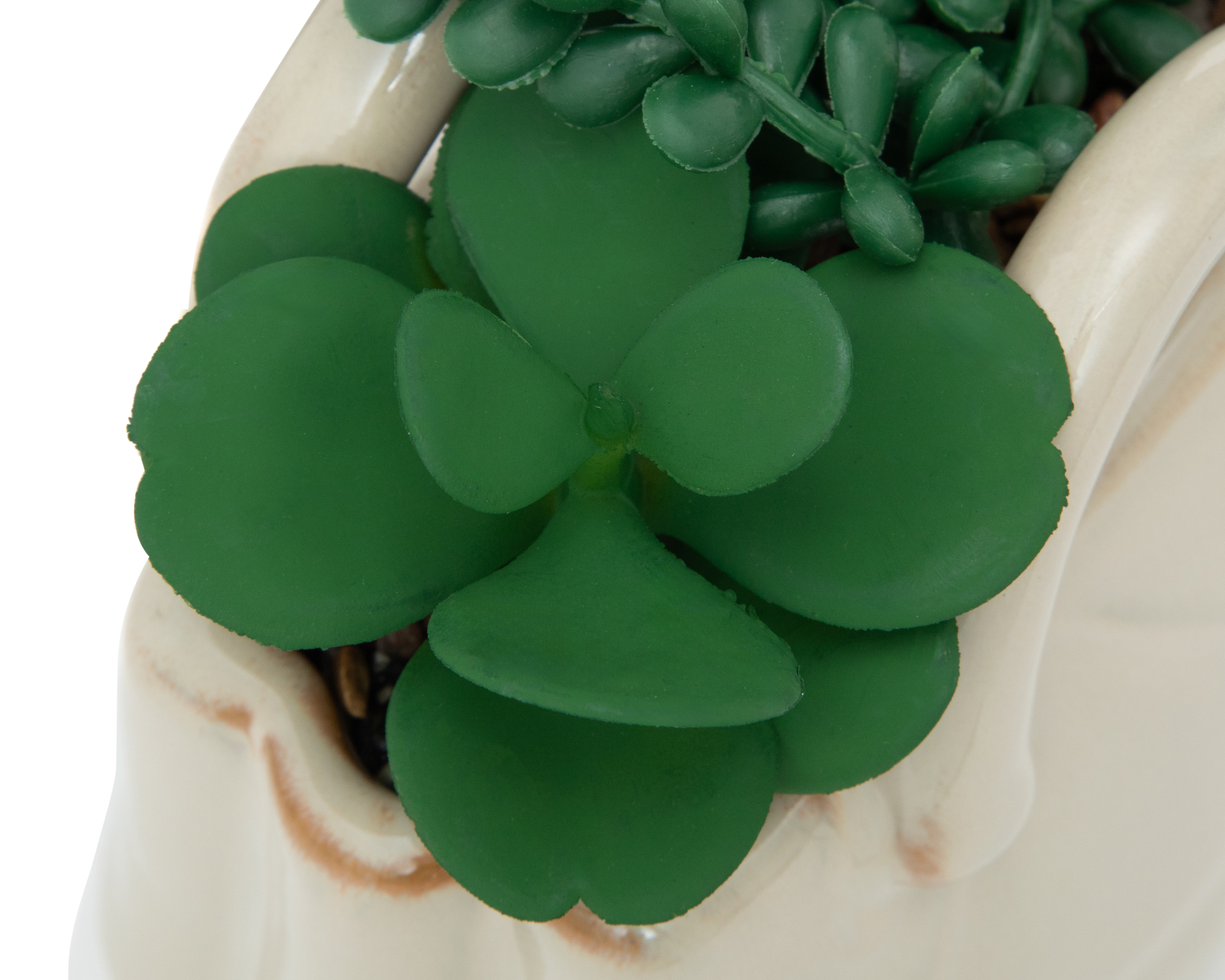 Foto 4 pulgar | Foto 3 | Suculenta Artificial con Maceta Luivi 15 cm