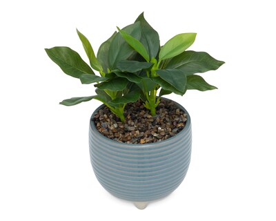 Foto 2 | Foto 2 | Philodendron Congo Verde Artificial Starhaus Cely 23 cm