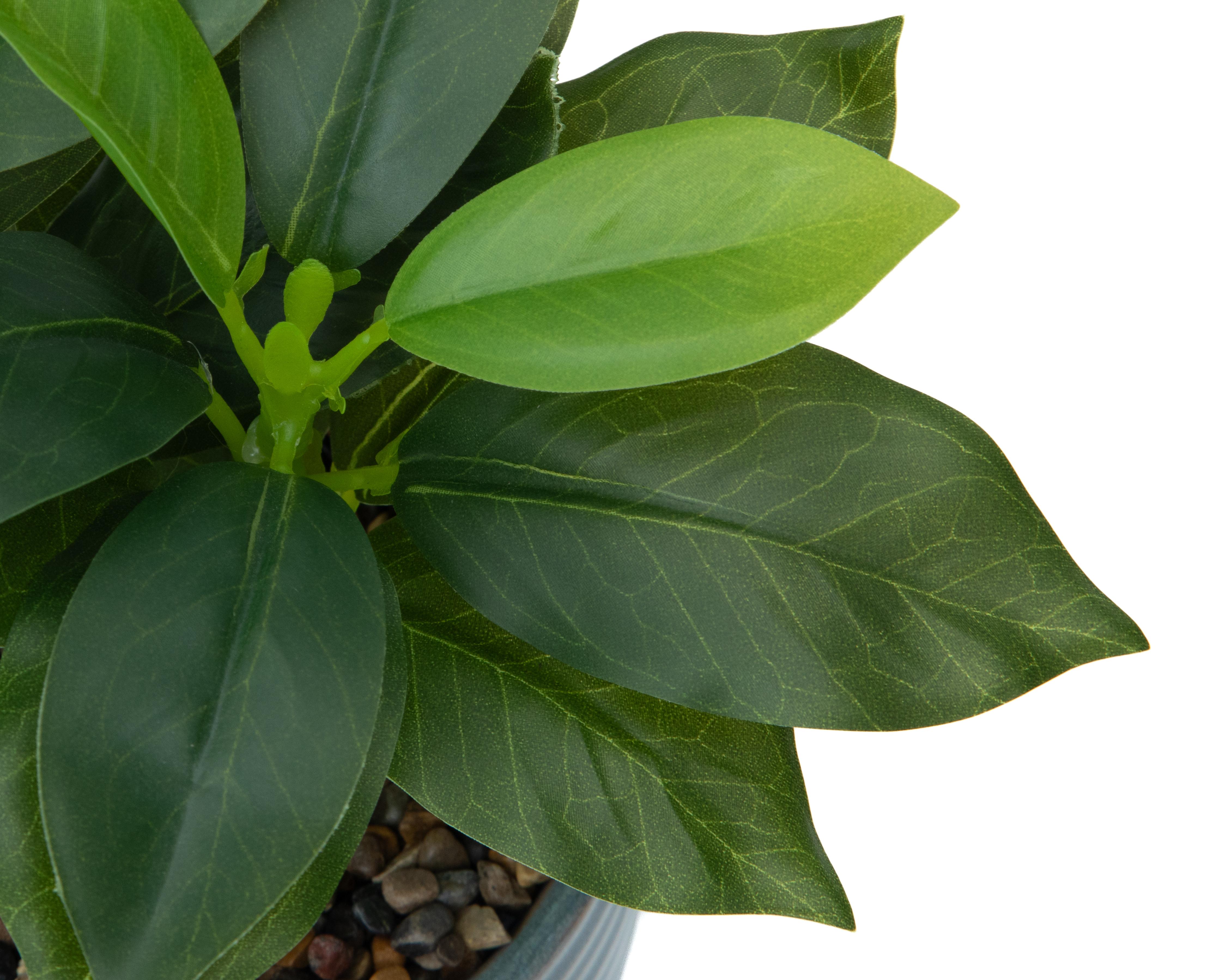 Foto 4 pulgar | Foto 3 | Philodendron Congo Verde Artificial Starhaus Cely 23 cm