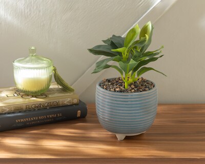 Foto 4 | Foto 4 | Philodendron Congo Verde Artificial Starhaus Cely 23 cm