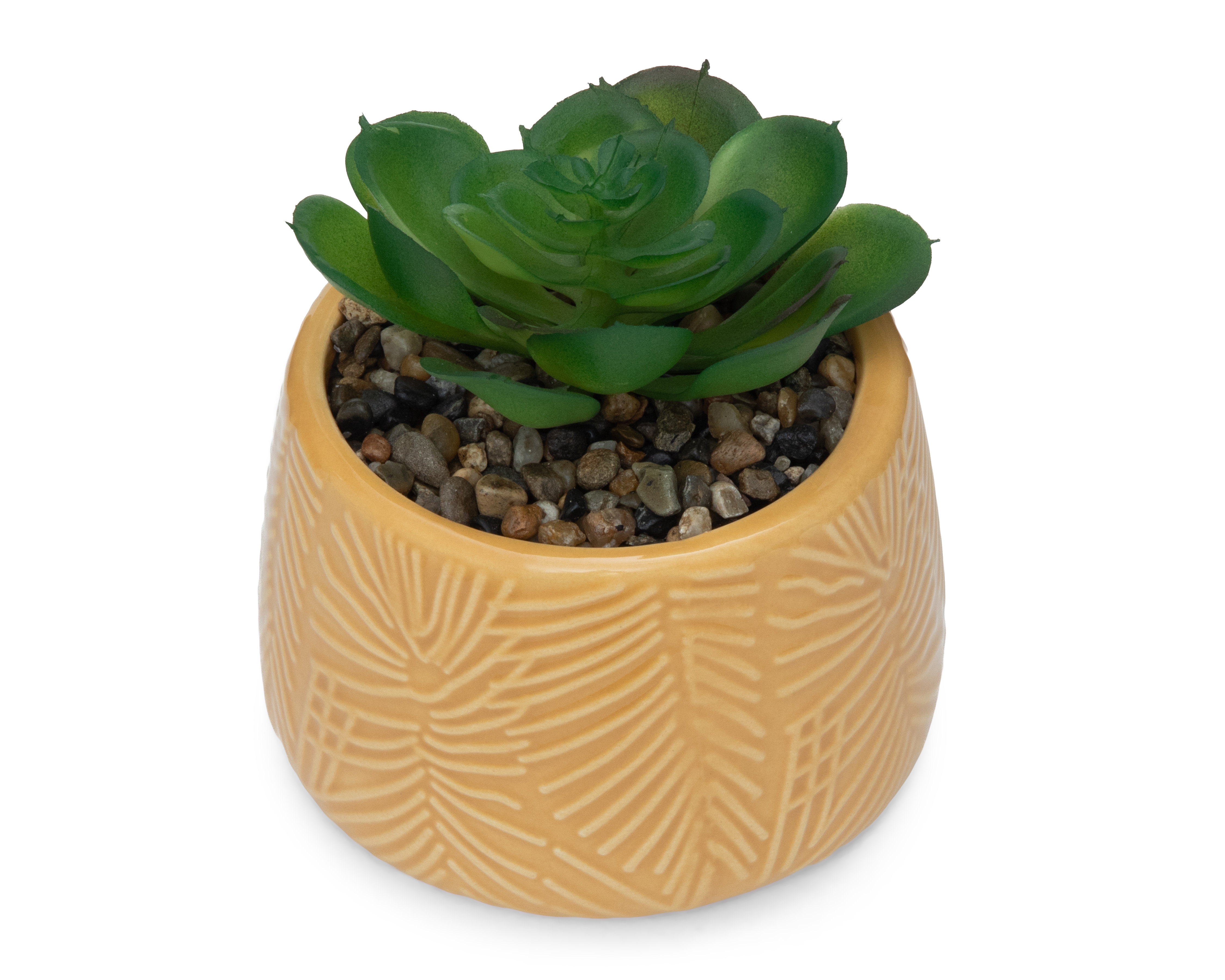 Foto 2 | Foto 2 | Suculenta con Maceta Starhaus 11 cm
