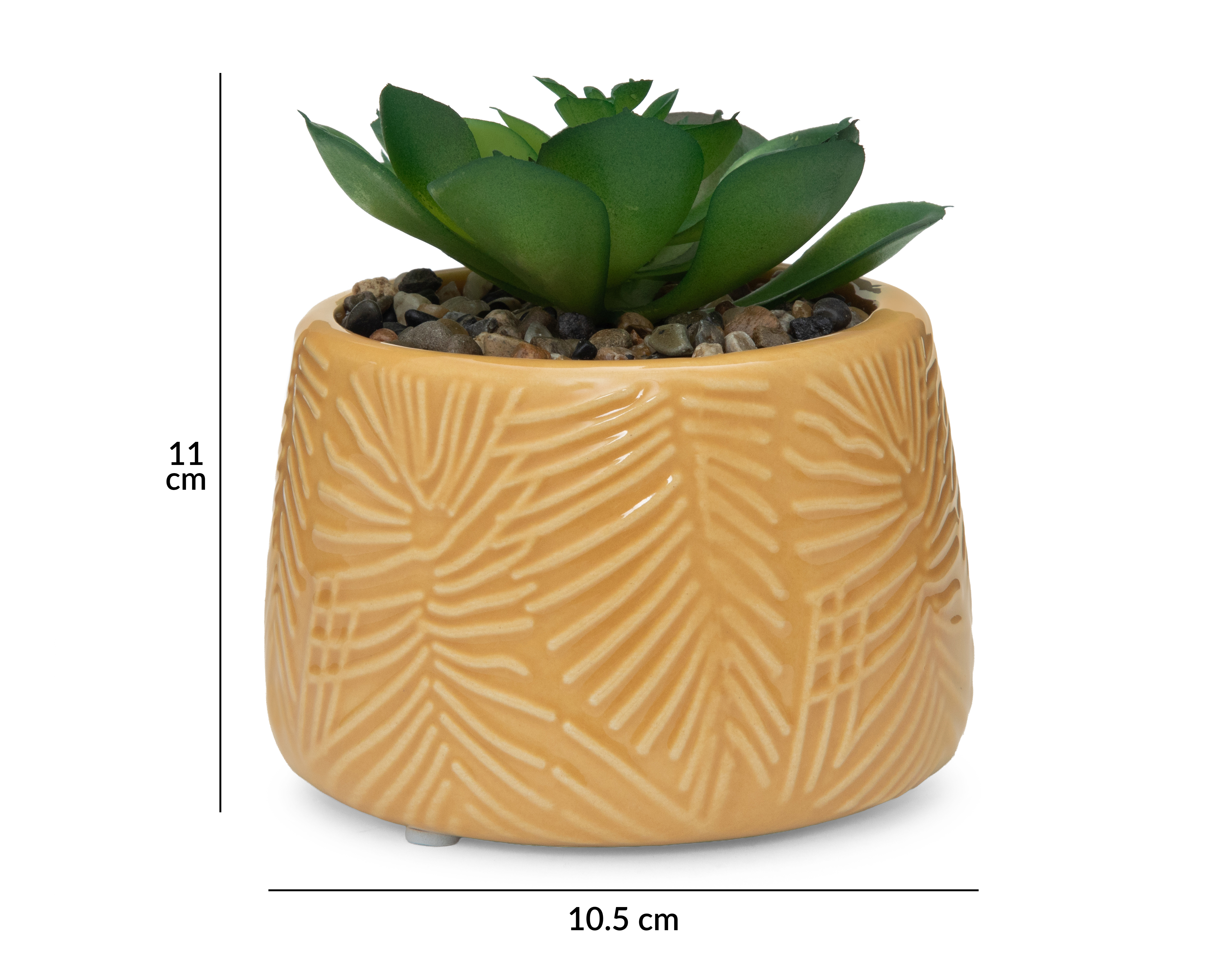 Foto 6 pulgar | Foto 5 | Suculenta con Maceta Starhaus 11 cm