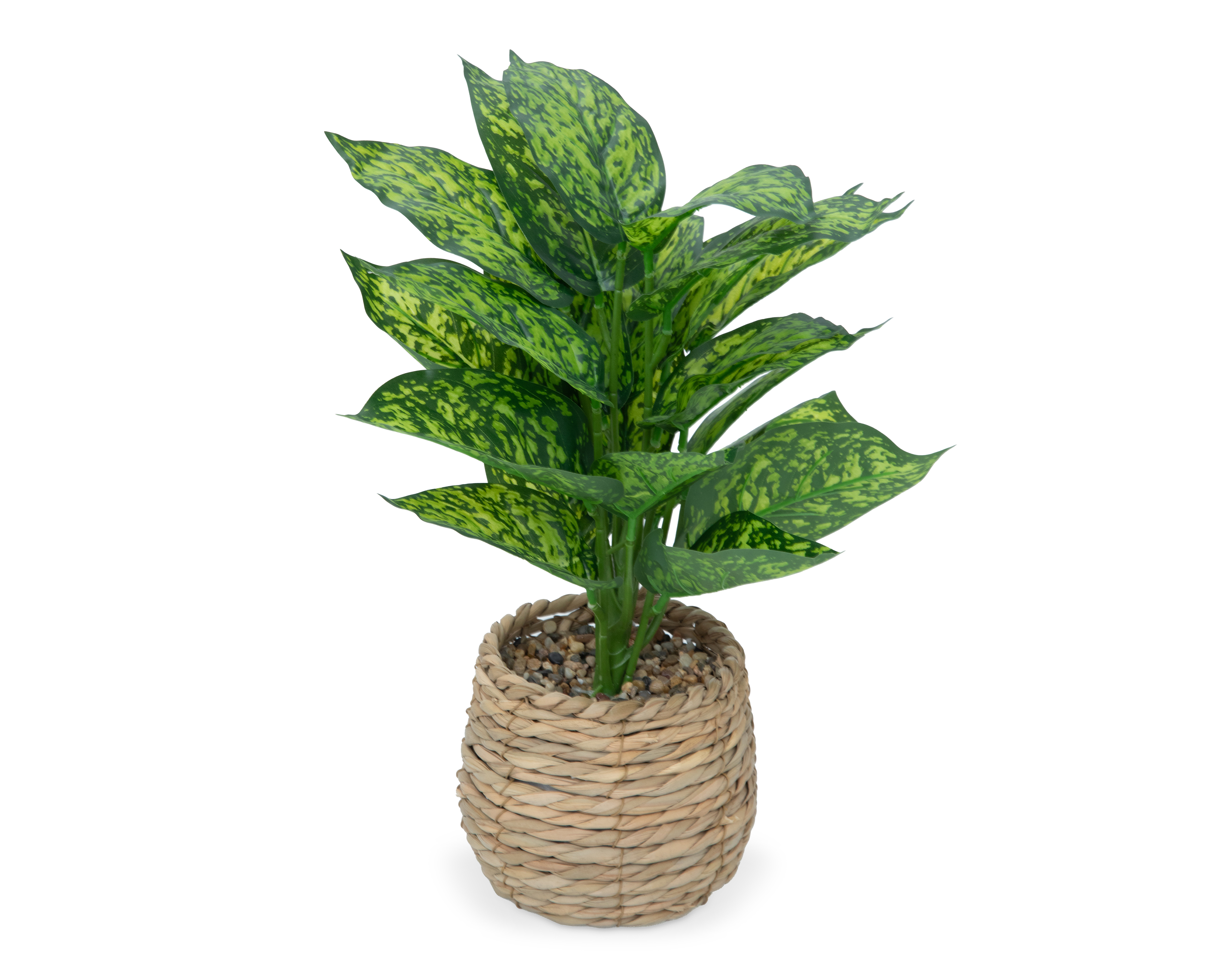 Foto 2 | Foto 2 | Amuena Artificial con Maceta Starhaus 40.5 cm