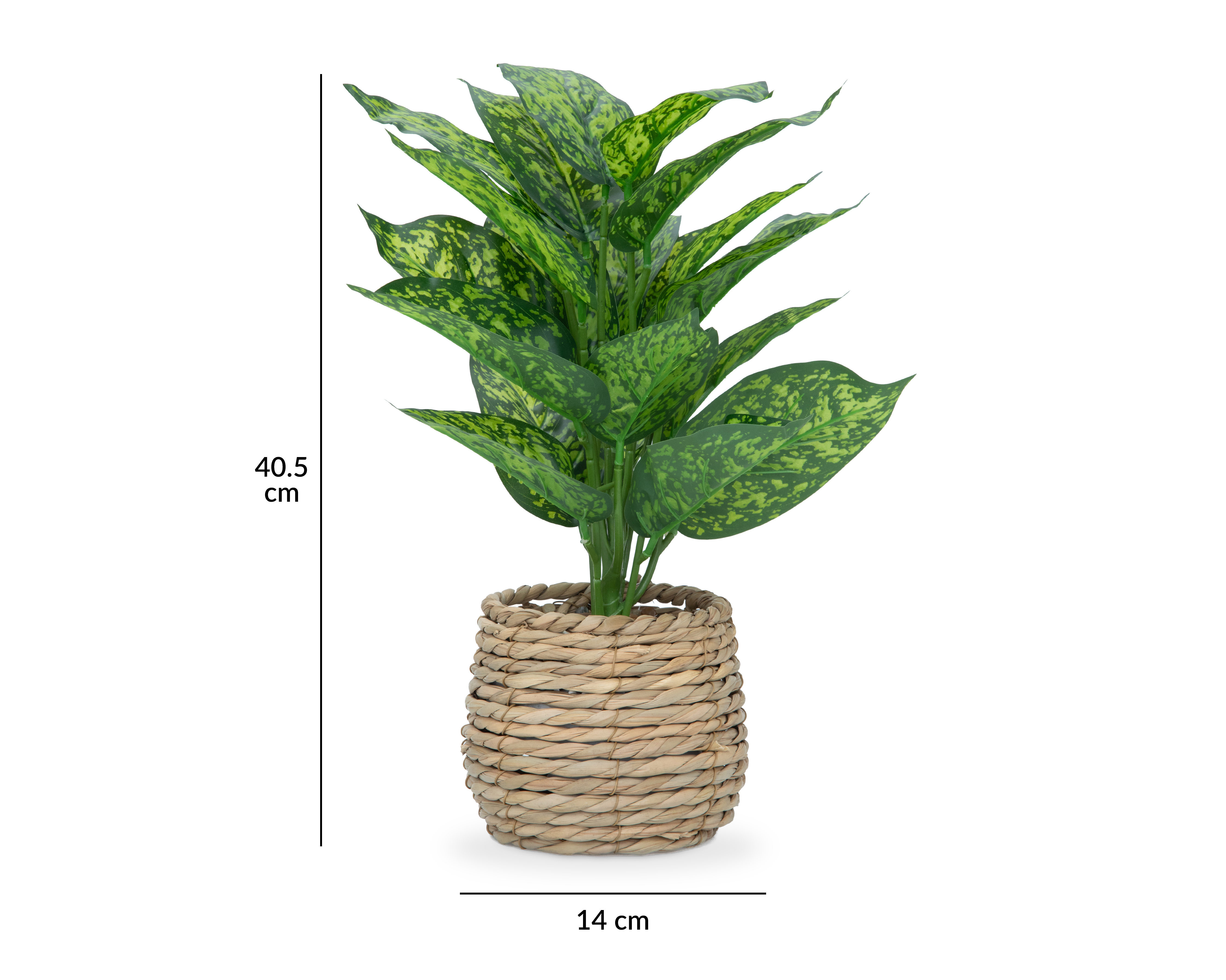 Foto 5 | Foto 5 | Amuena Artificial con Maceta Starhaus 40.5 cm