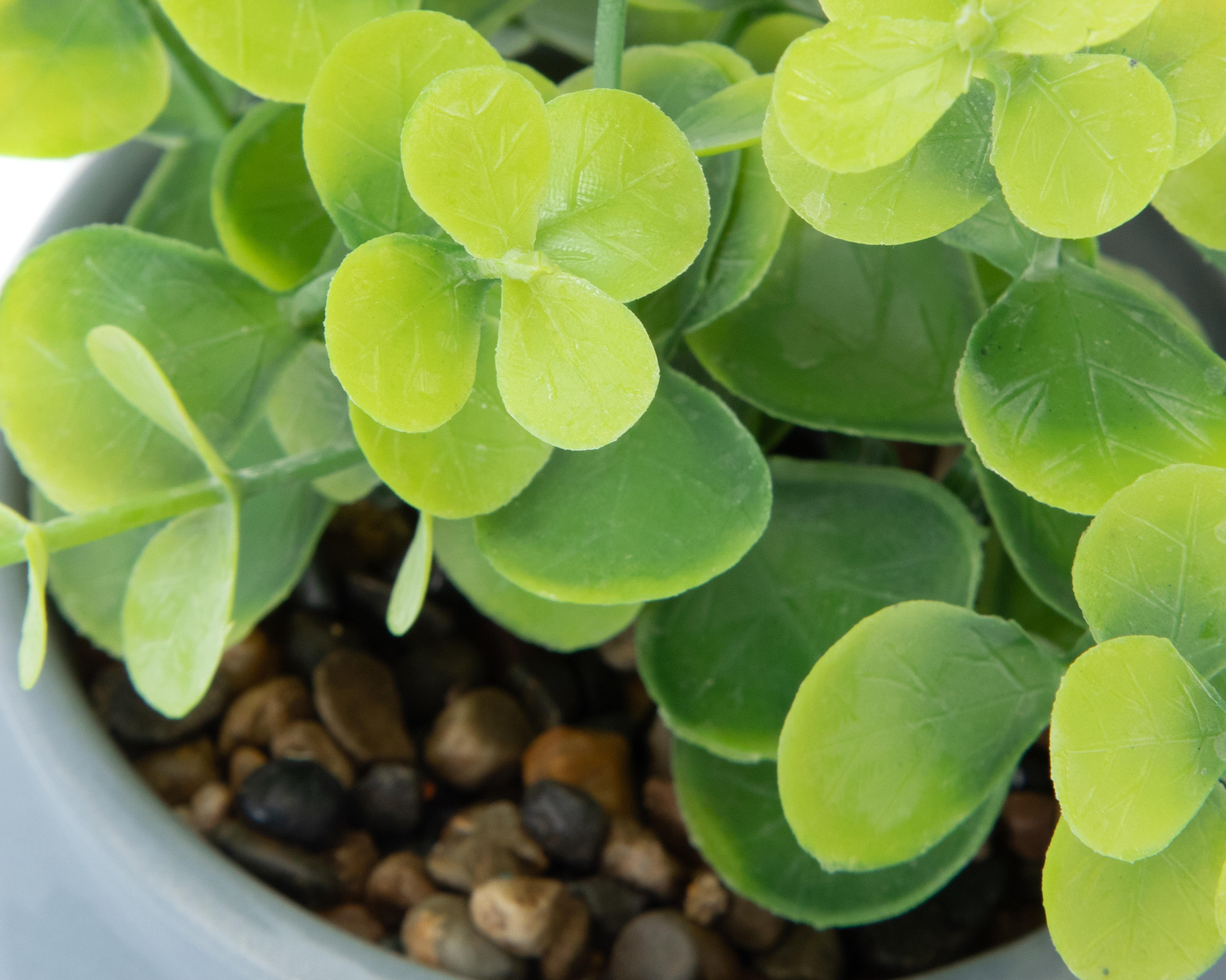 Foto 4 pulgar | Foto 3 | Suculenta Artificial con Maceta Starhaus 20 cm