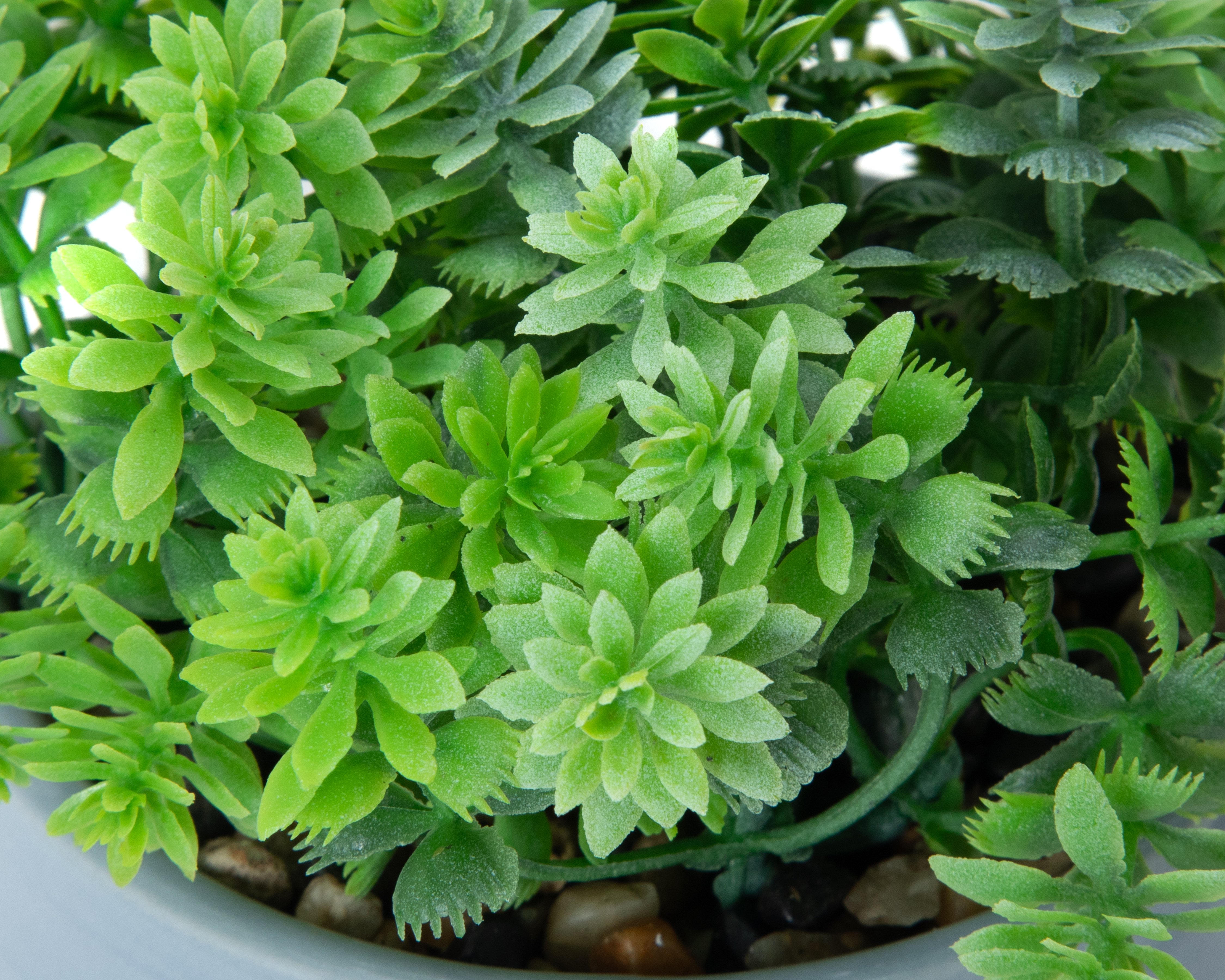 Foto 3 | Foto 3 | Suculenta Artificial con Maceta Starhaus 17 cm