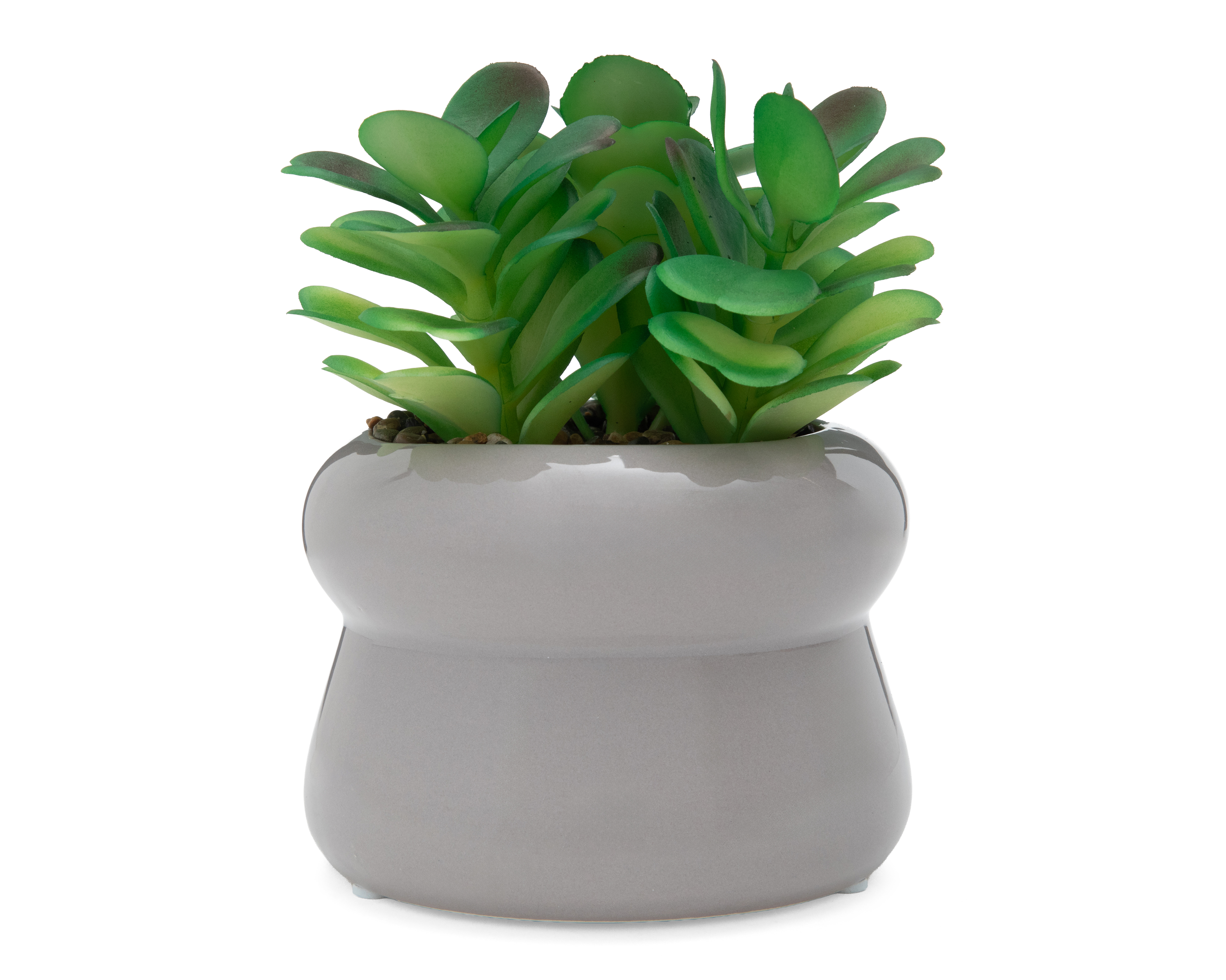 Suculenta Artificial con Maceta Starhaus 15.5 cm