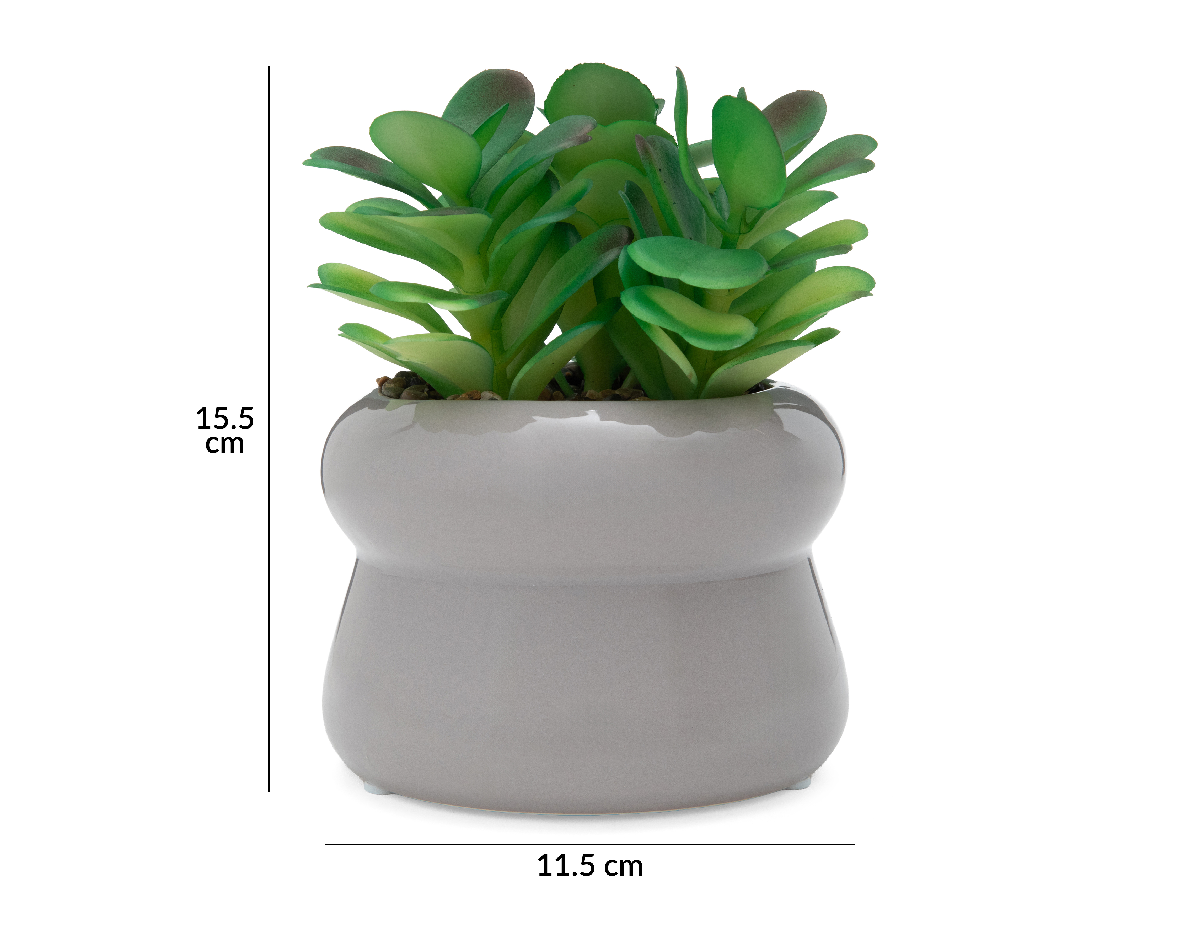 Foto 5 | Foto 5 | Suculenta Artificial con Maceta Starhaus 15.5 cm