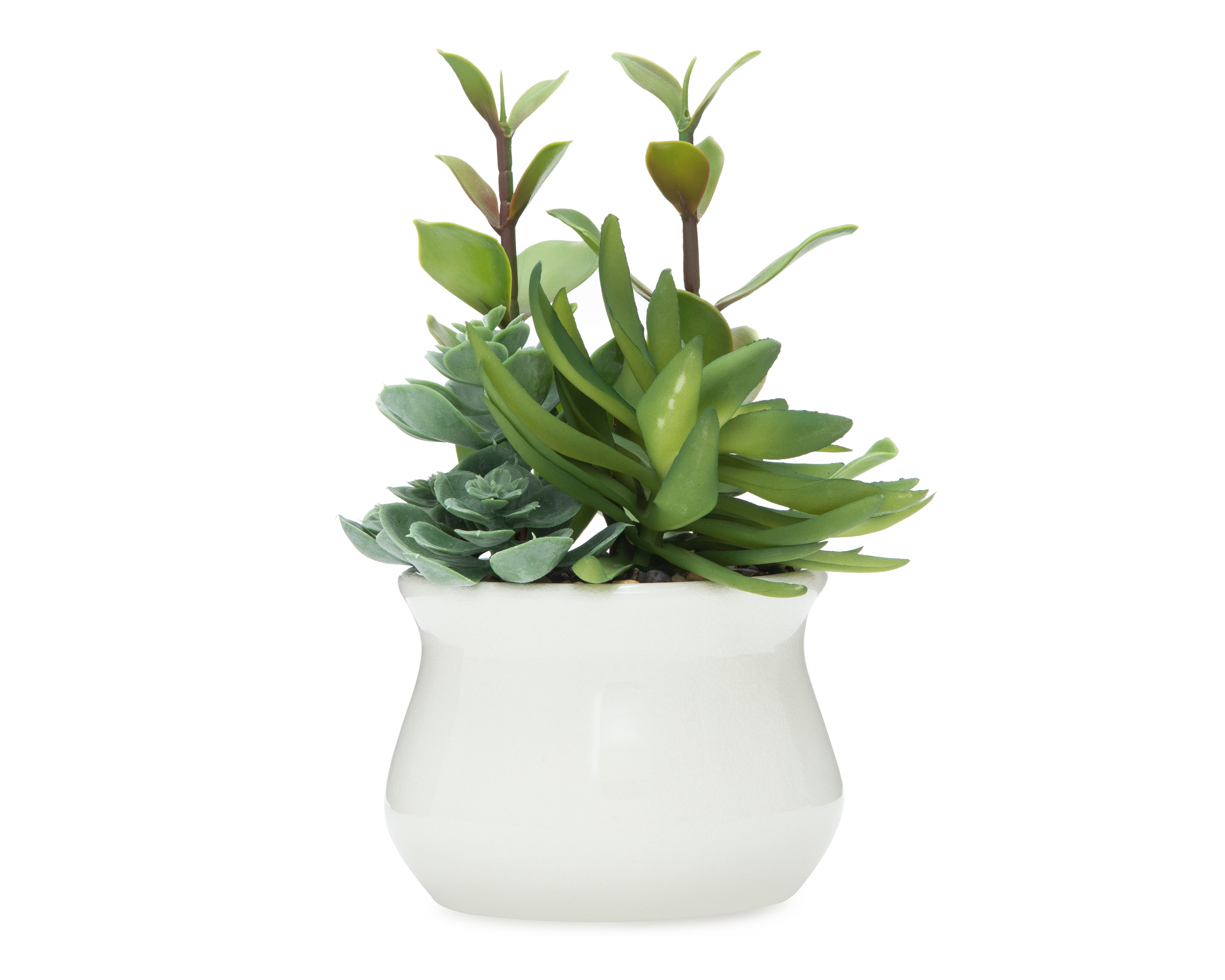 Foto 1 | Foto 1 | Suculenta Artificial con Maceta Starhaus 27 cm