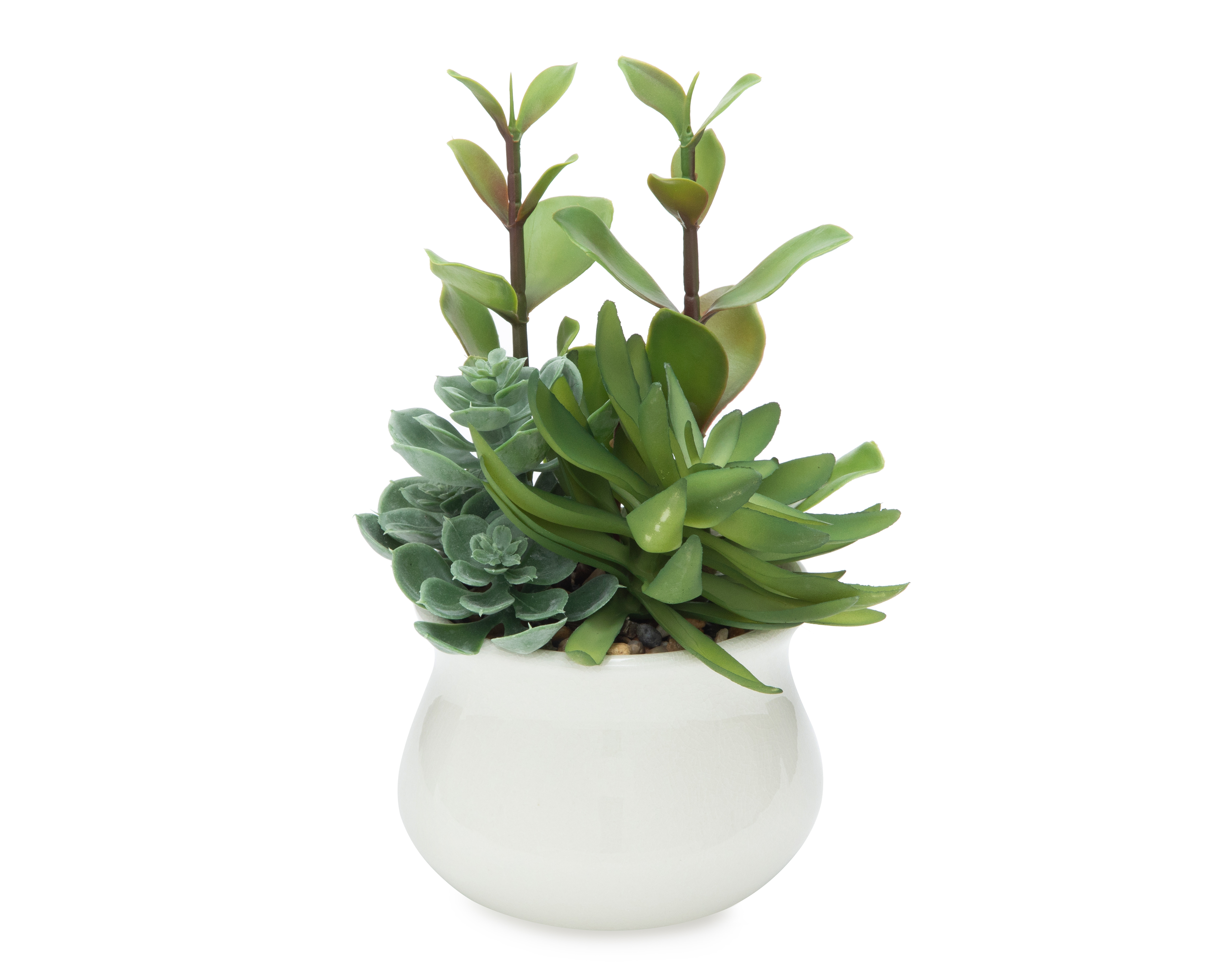 Foto 3 pulgar | Foto 2 | Suculenta Artificial con Maceta Starhaus 27 cm