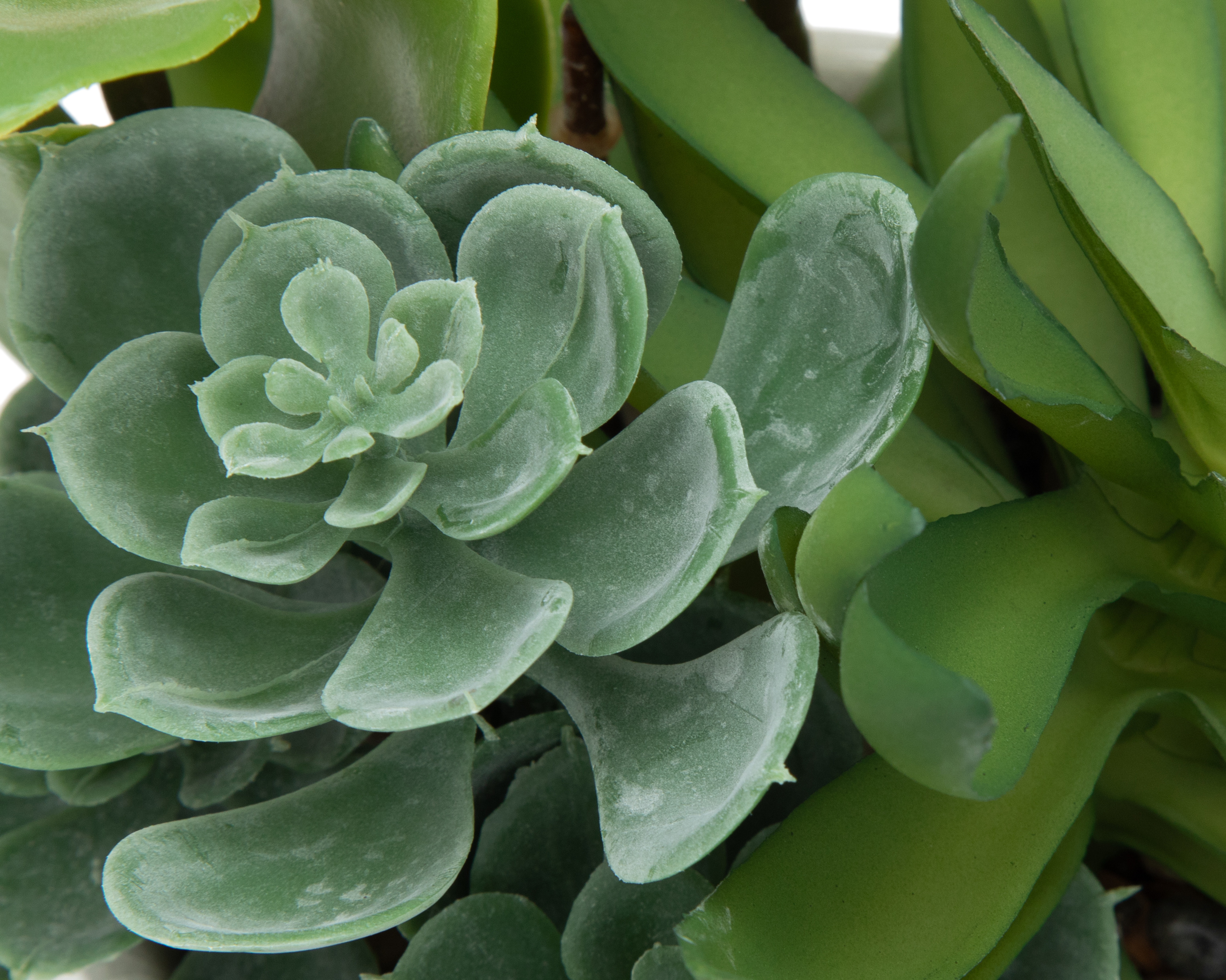 Foto 4 pulgar | Foto 3 | Suculenta Artificial con Maceta Starhaus 27 cm