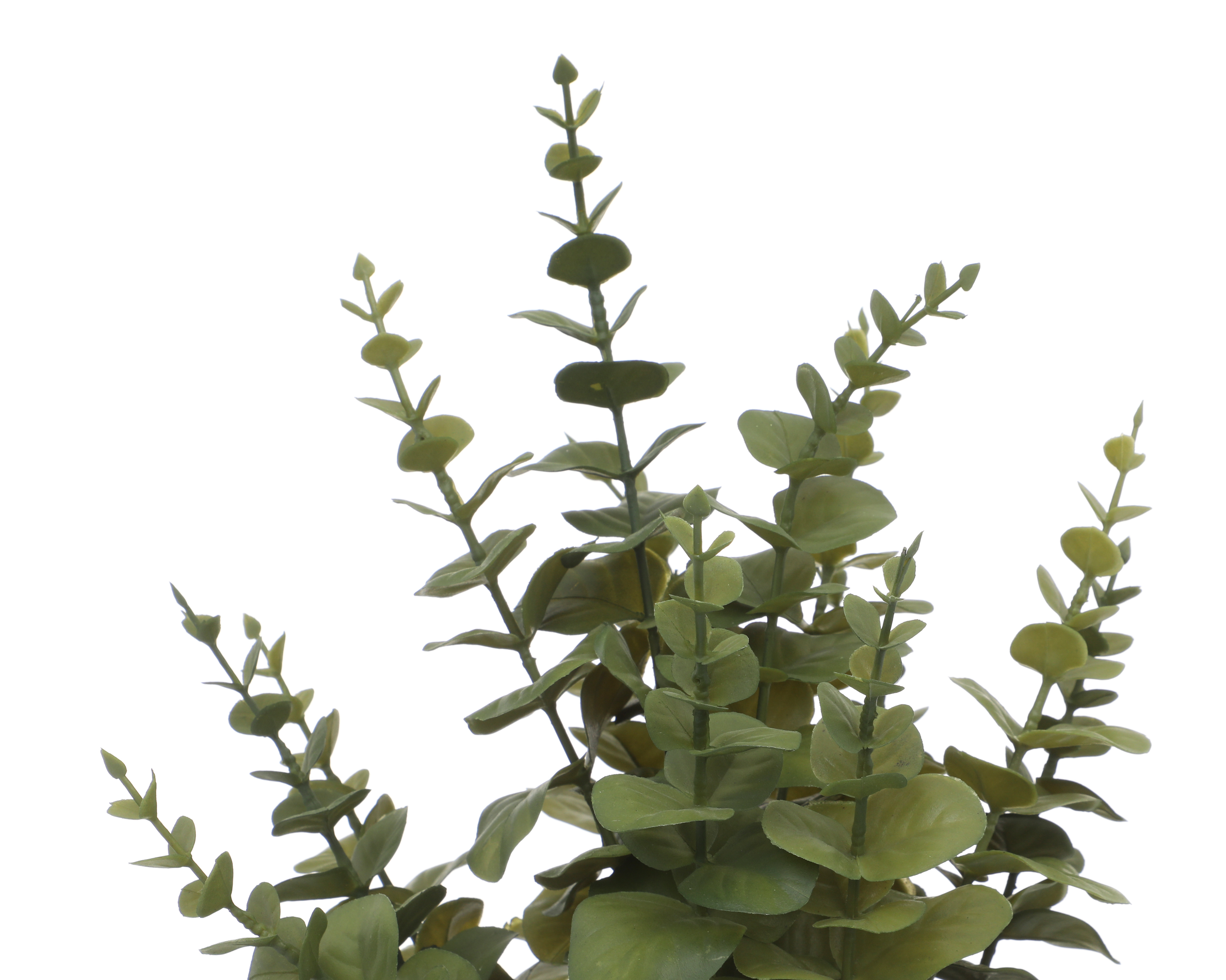 Foto 4 pulgar | Foto 3 | Eucalipto Artificial con Maceta Starhaus 47 cm