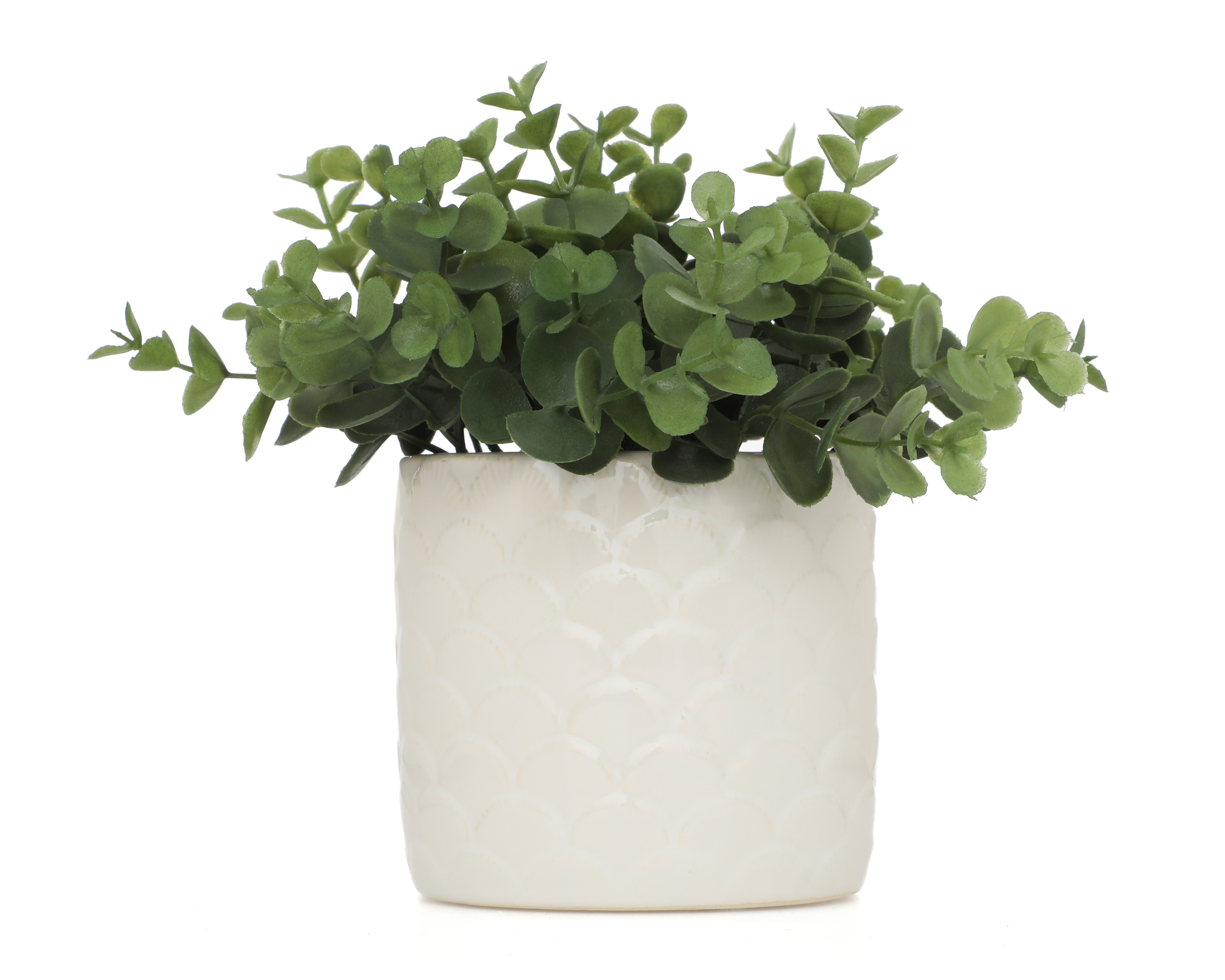 Foto 2 pulgar | Foto 1 | Eucalipto Artificial con Maceta Starhaus 18 cm