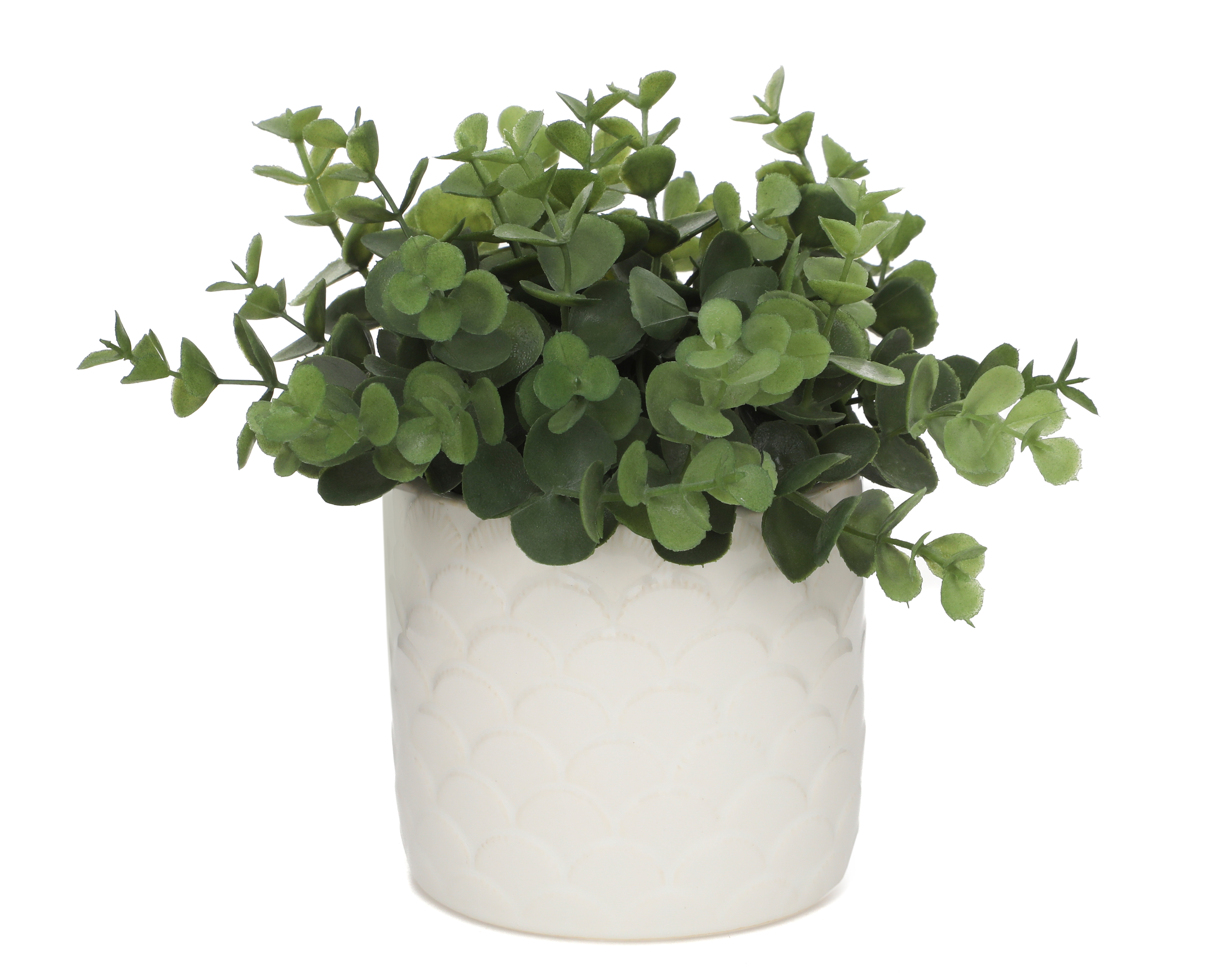 Foto 2 | Foto 2 | Eucalipto Artificial con Maceta Starhaus 18 cm