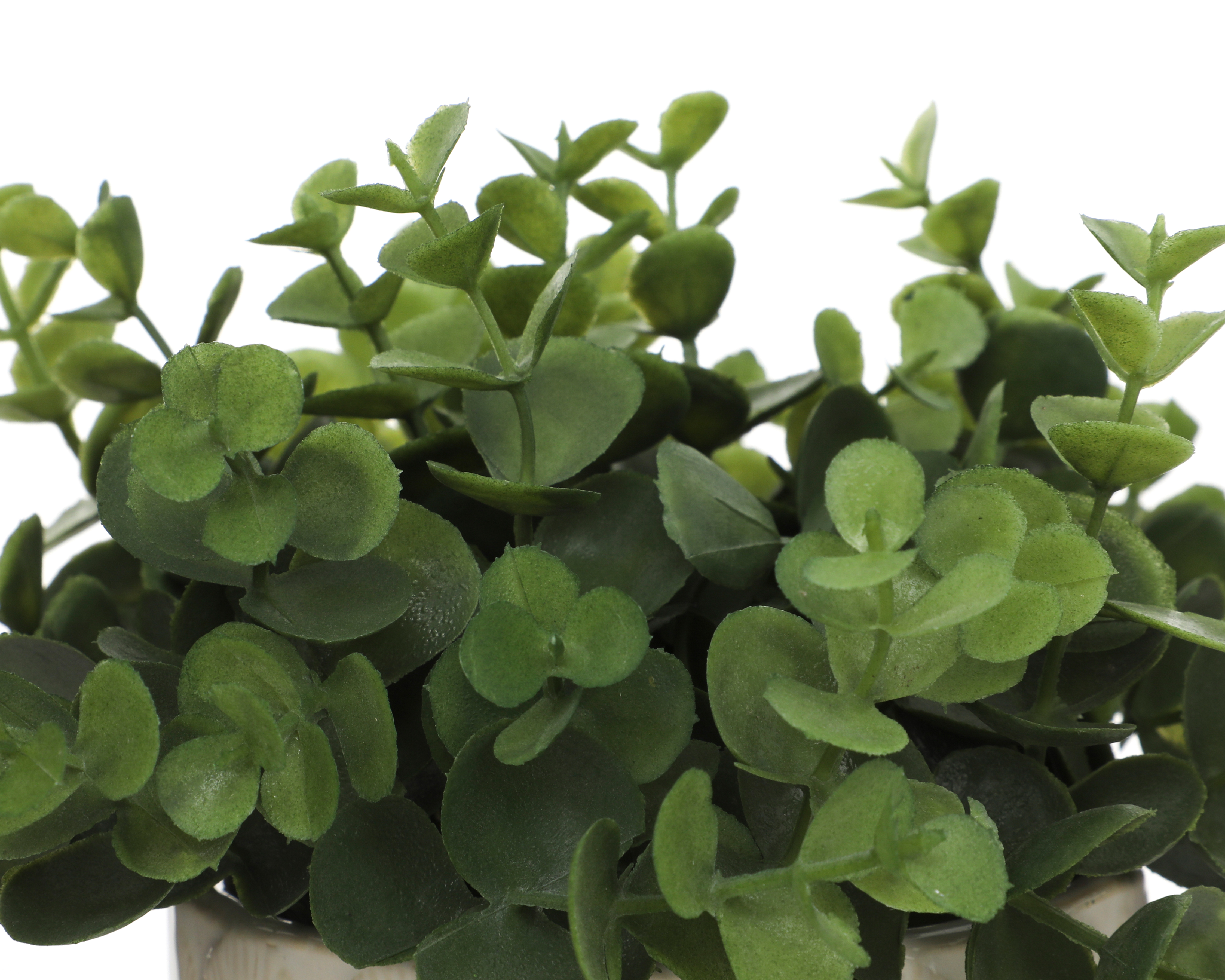 Foto 3 | Foto 3 | Eucalipto Artificial con Maceta Starhaus 18 cm