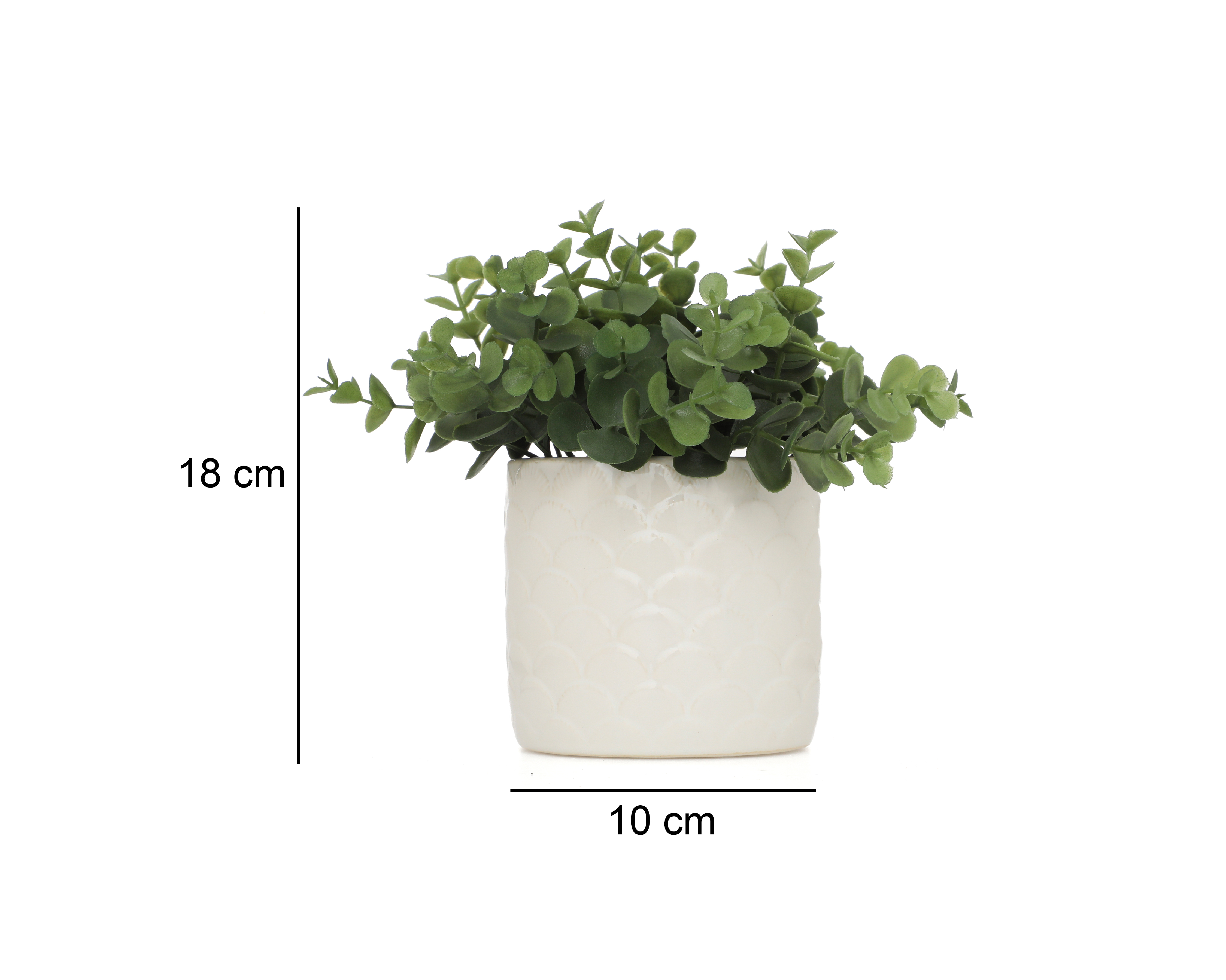 Foto 5 | Foto 5 | Eucalipto Artificial con Maceta Starhaus 18 cm