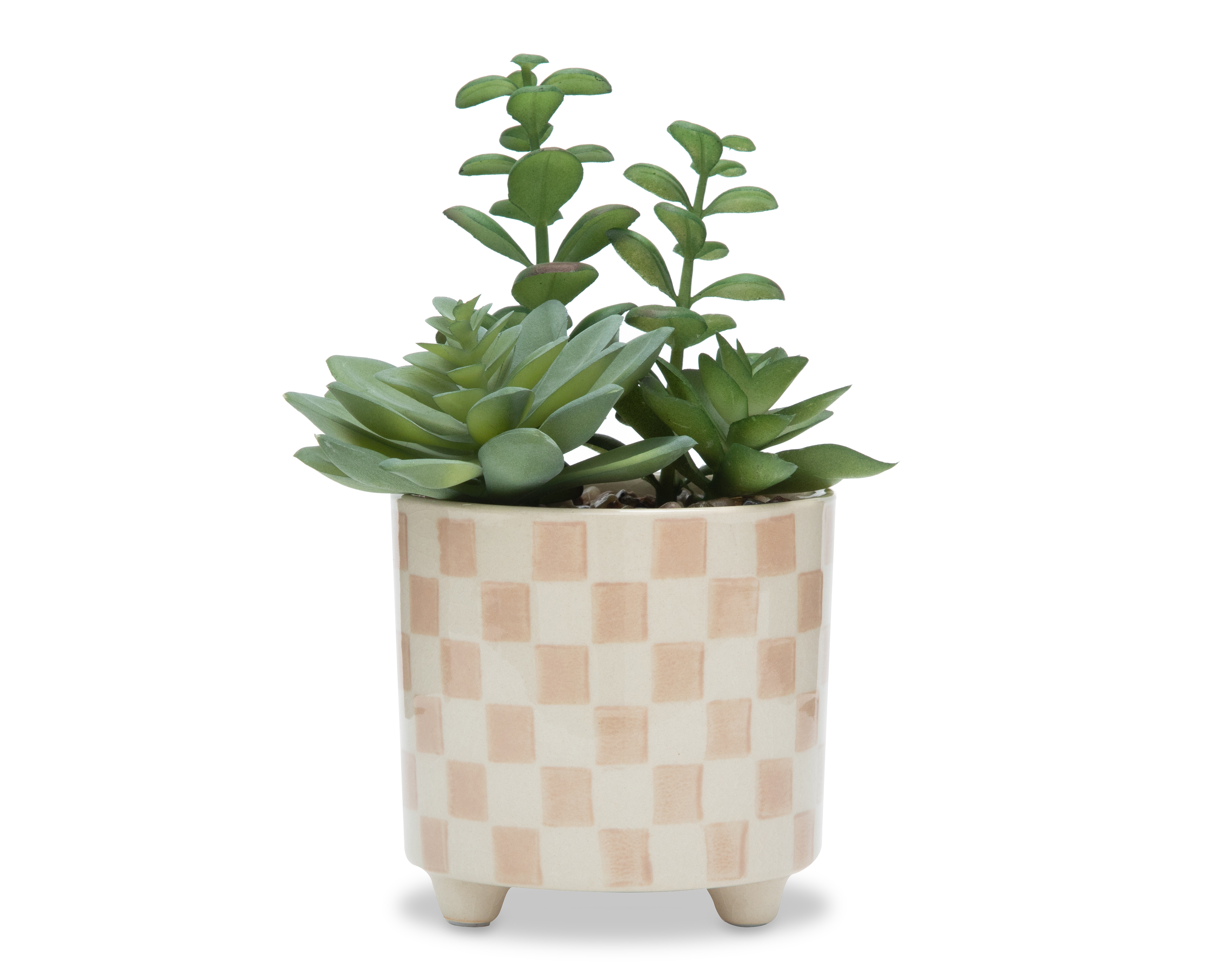 Suculentas con Maceta Starhaus 21 cm