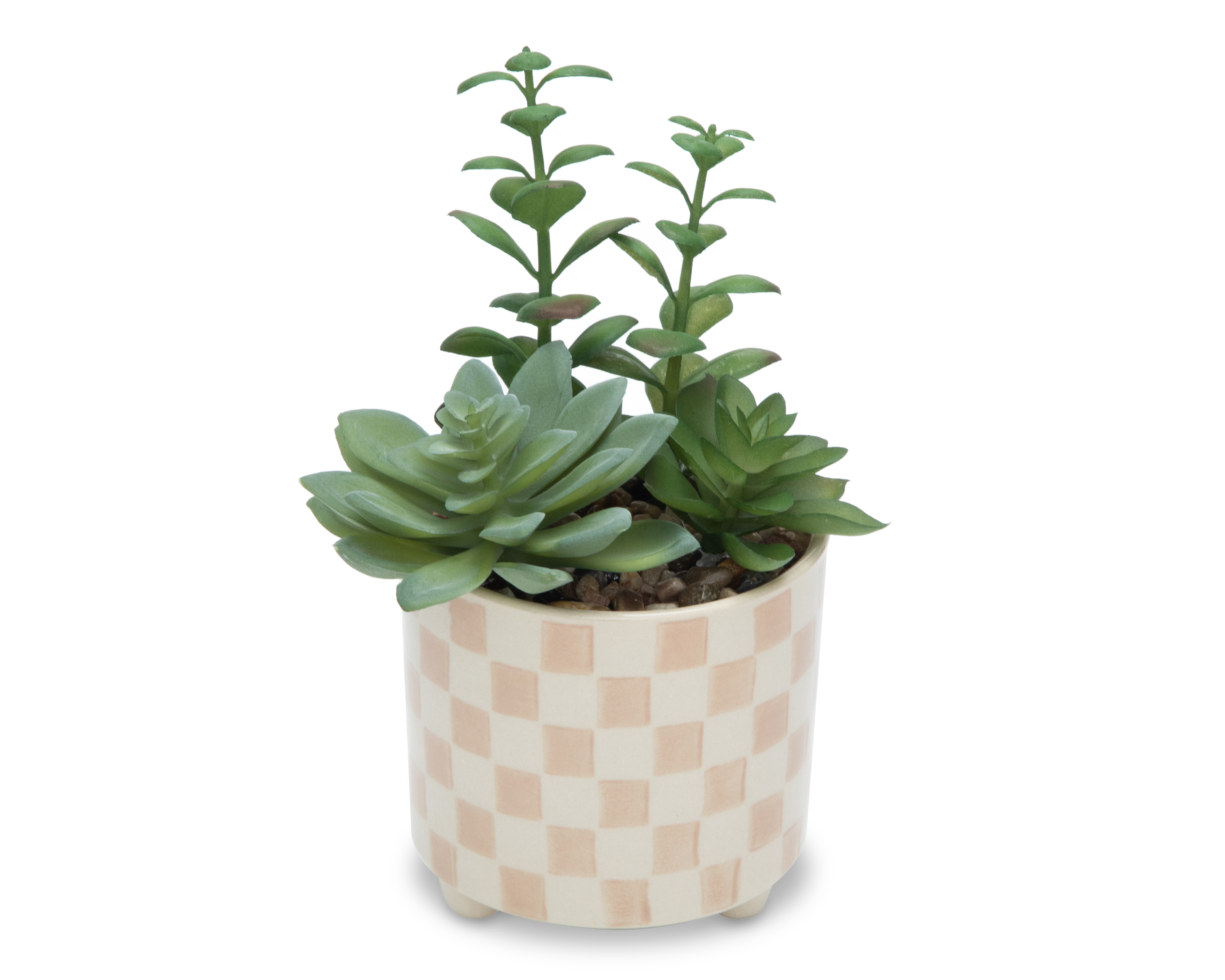 Foto 3 pulgar | Foto 2 | Suculentas con Maceta Starhaus 21 cm