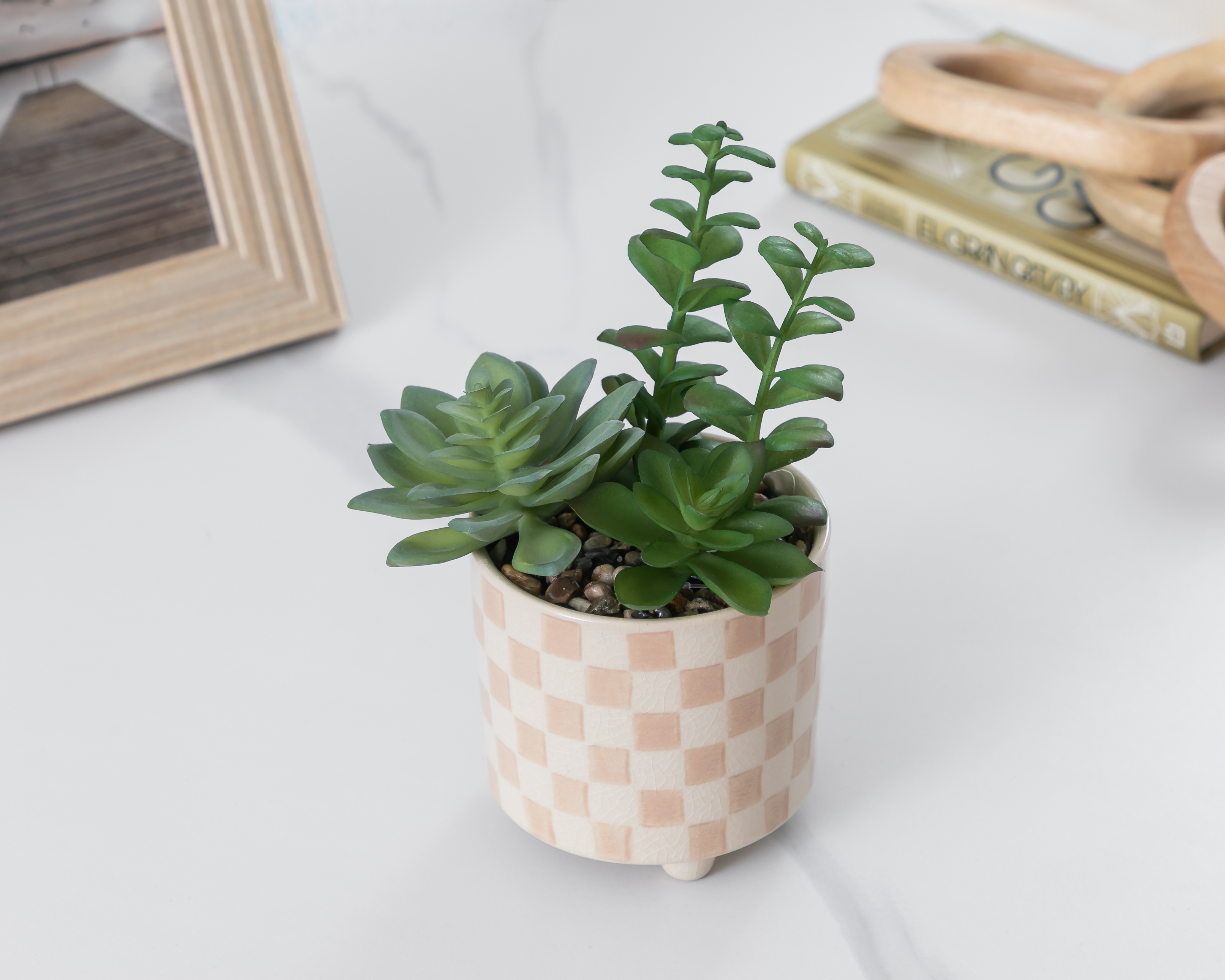 Foto 5 pulgar | Foto 4 | Suculentas con Maceta Starhaus 21 cm