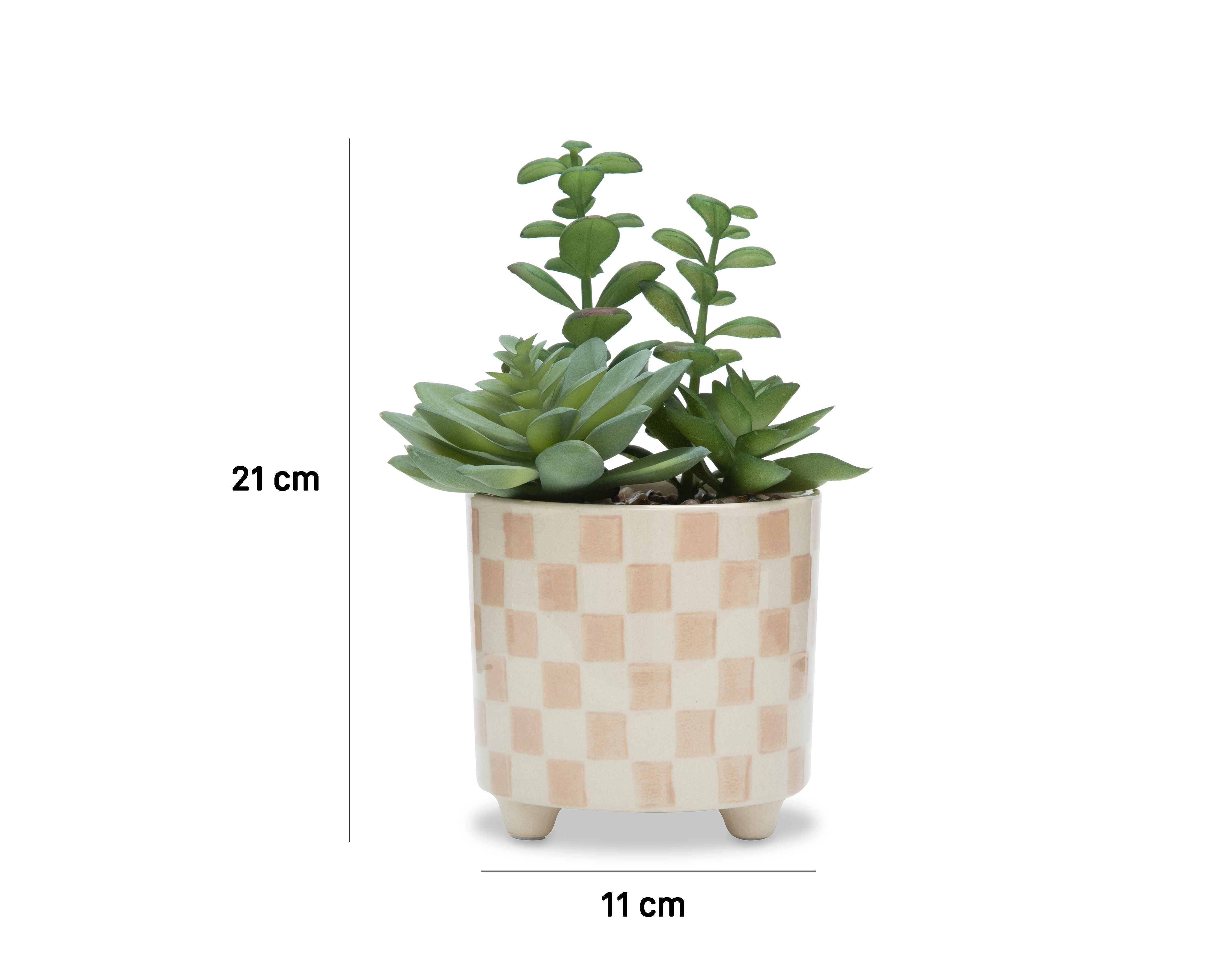 Foto 6 pulgar | Foto 5 | Suculentas con Maceta Starhaus 21 cm