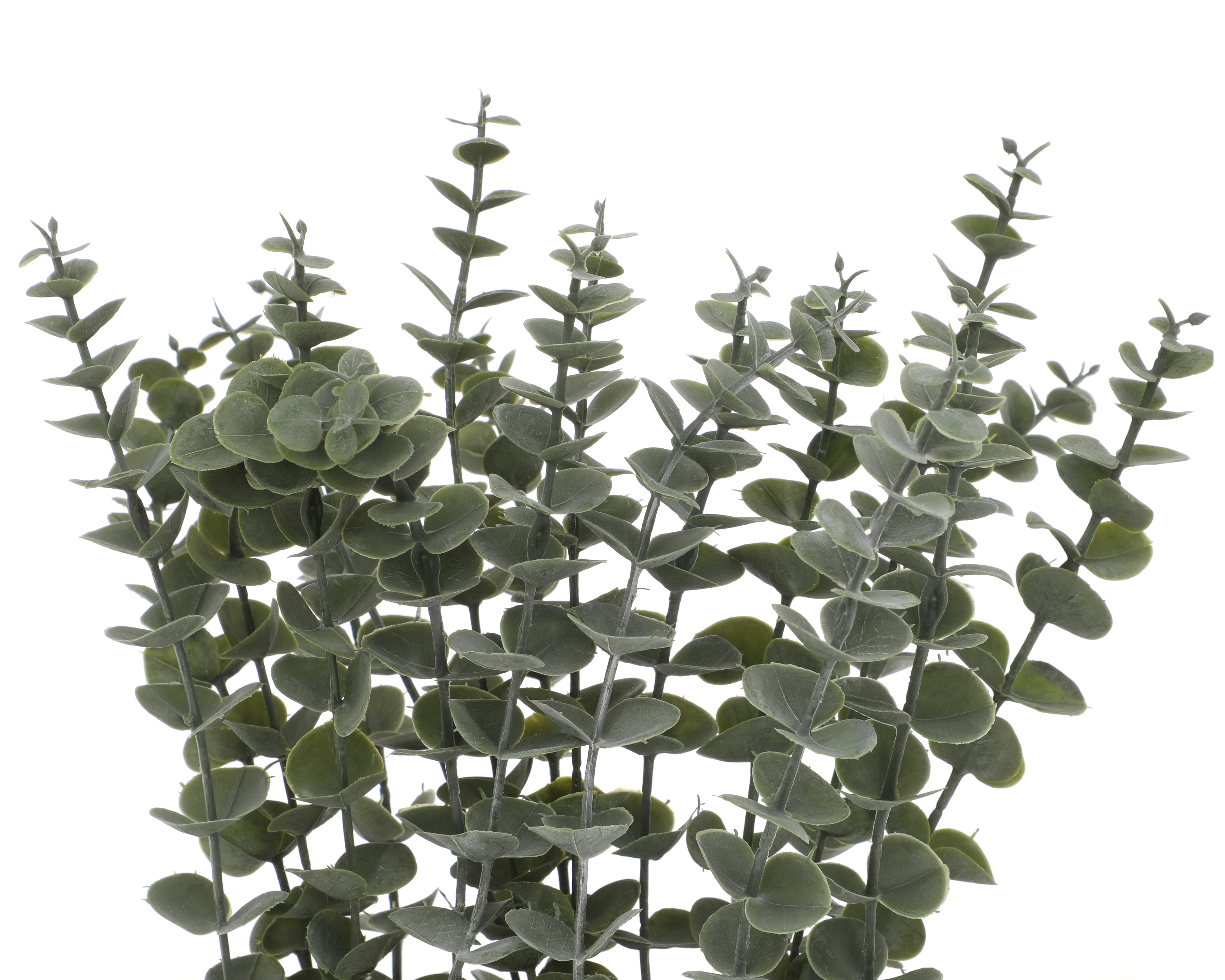 Foto 4 pulgar | Foto 3 | Eucalipto Artificial con Maceta Starhaus 35 cm