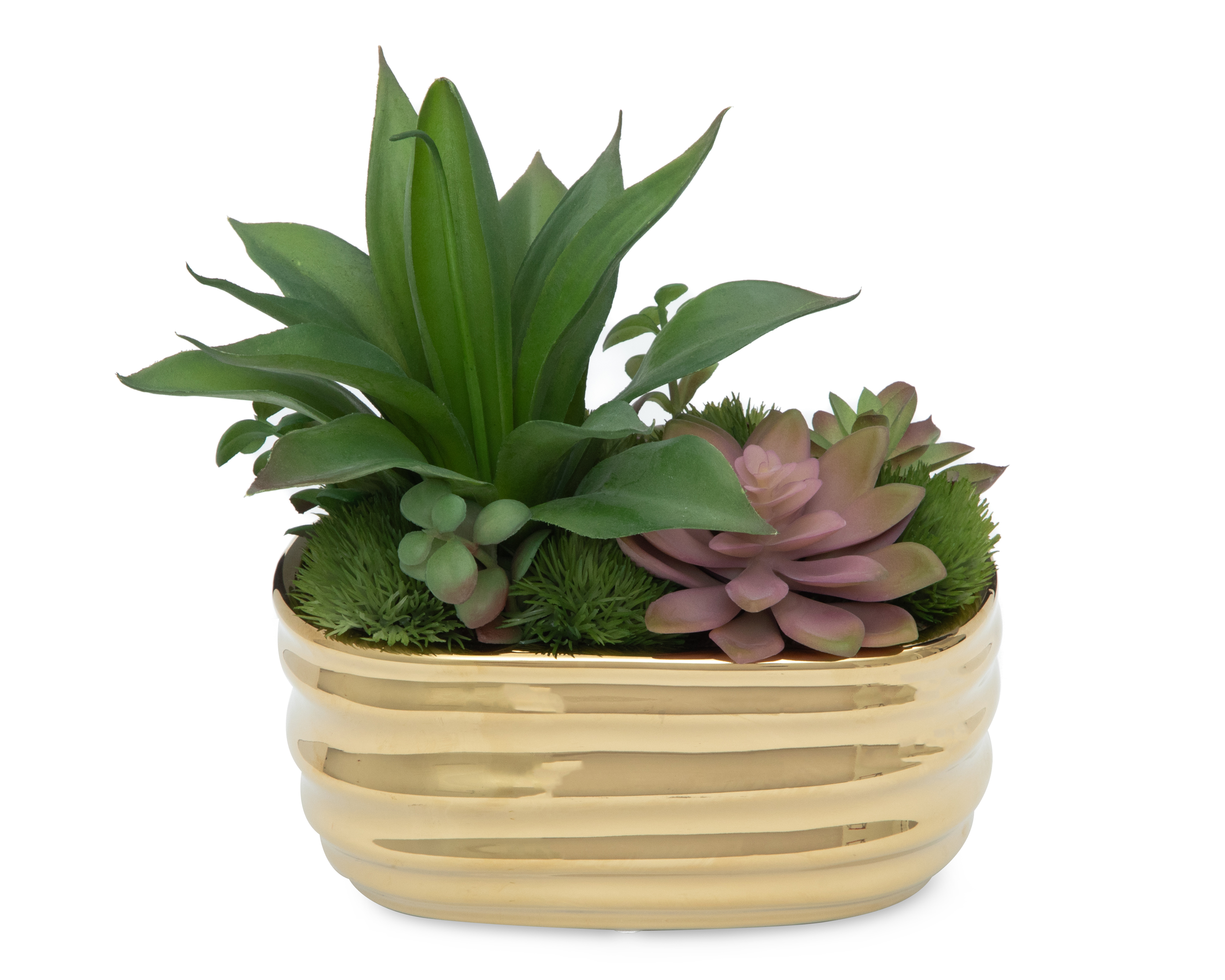 Foto 3 pulgar | Foto 2 | Suculenta Artificial con Maceta Starhaus 22 cm