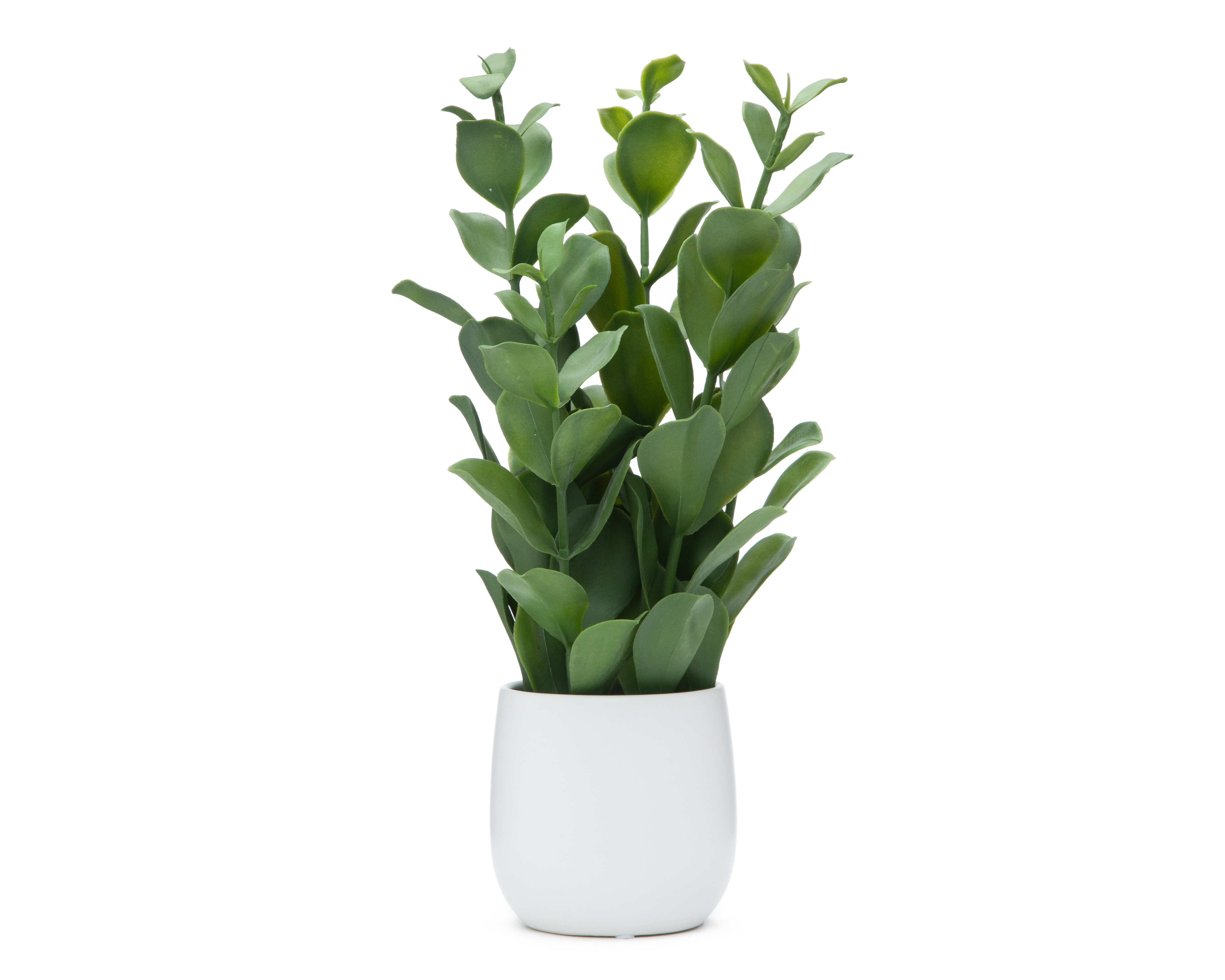 Zamioculca Artificial con Maceta Starhaus 47 cm