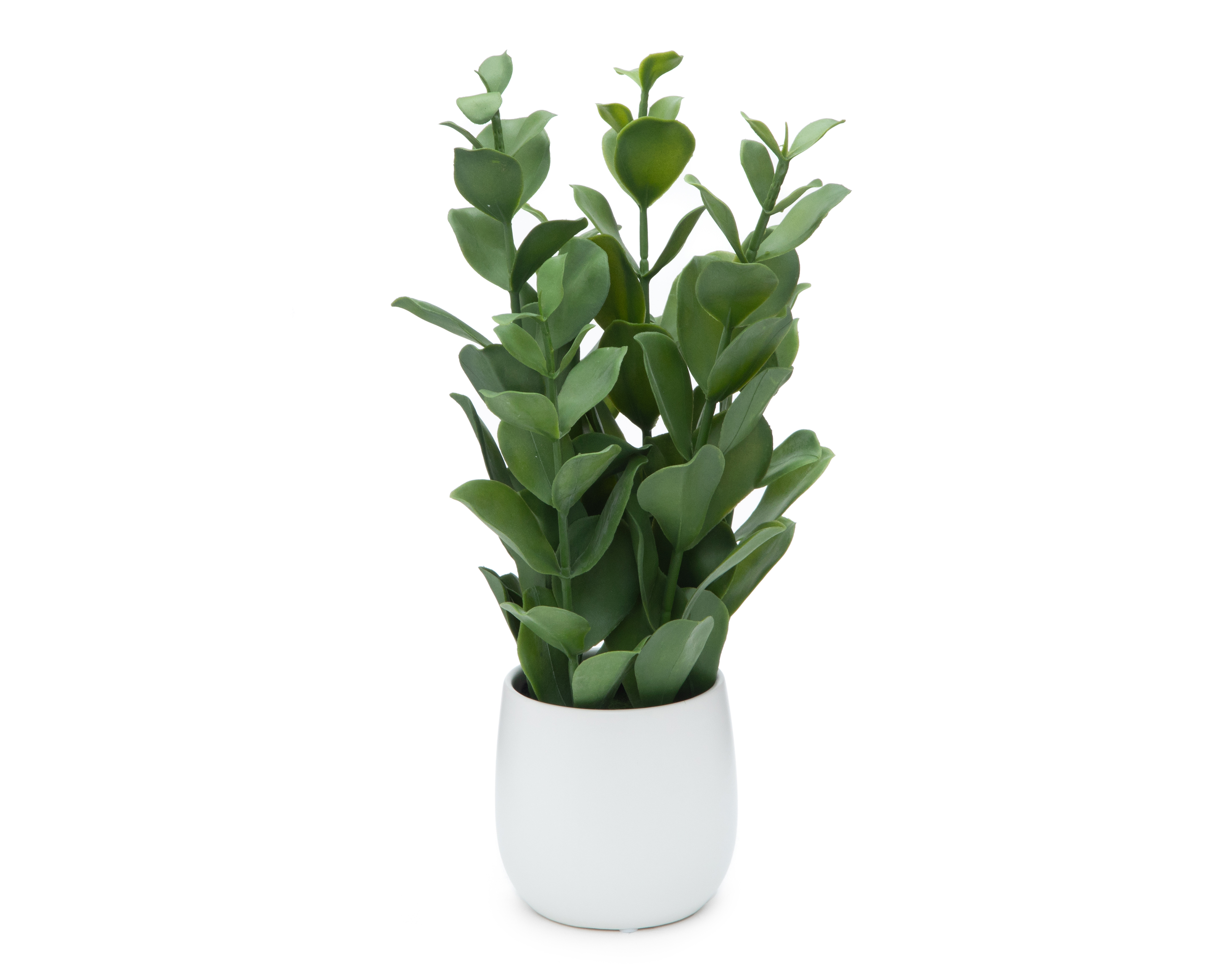 Foto 3 pulgar | Foto 2 | Zamioculca Artificial con Maceta Starhaus 47 cm