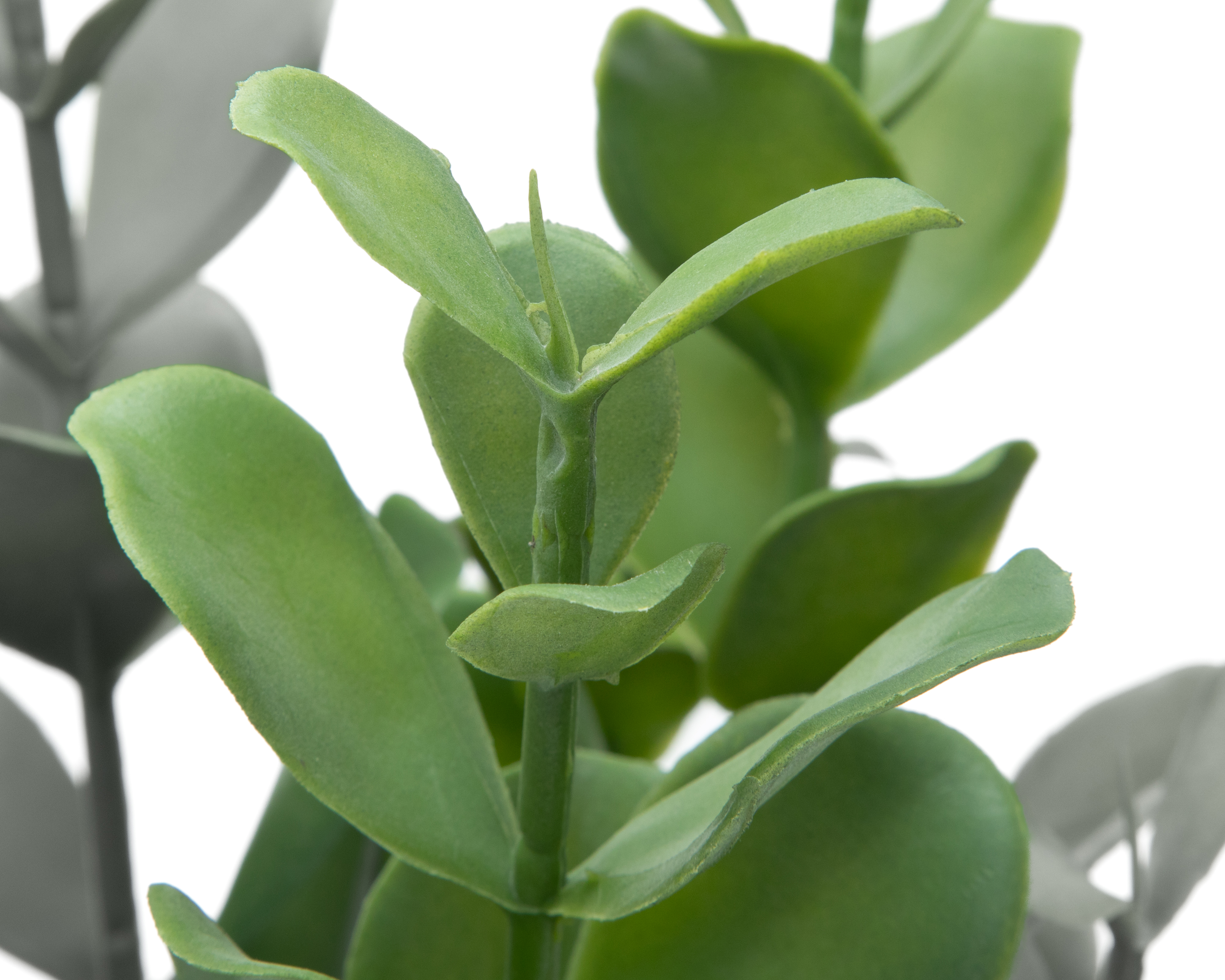 Foto 3 | Foto 3 | Zamioculca Artificial con Maceta Starhaus 47 cm