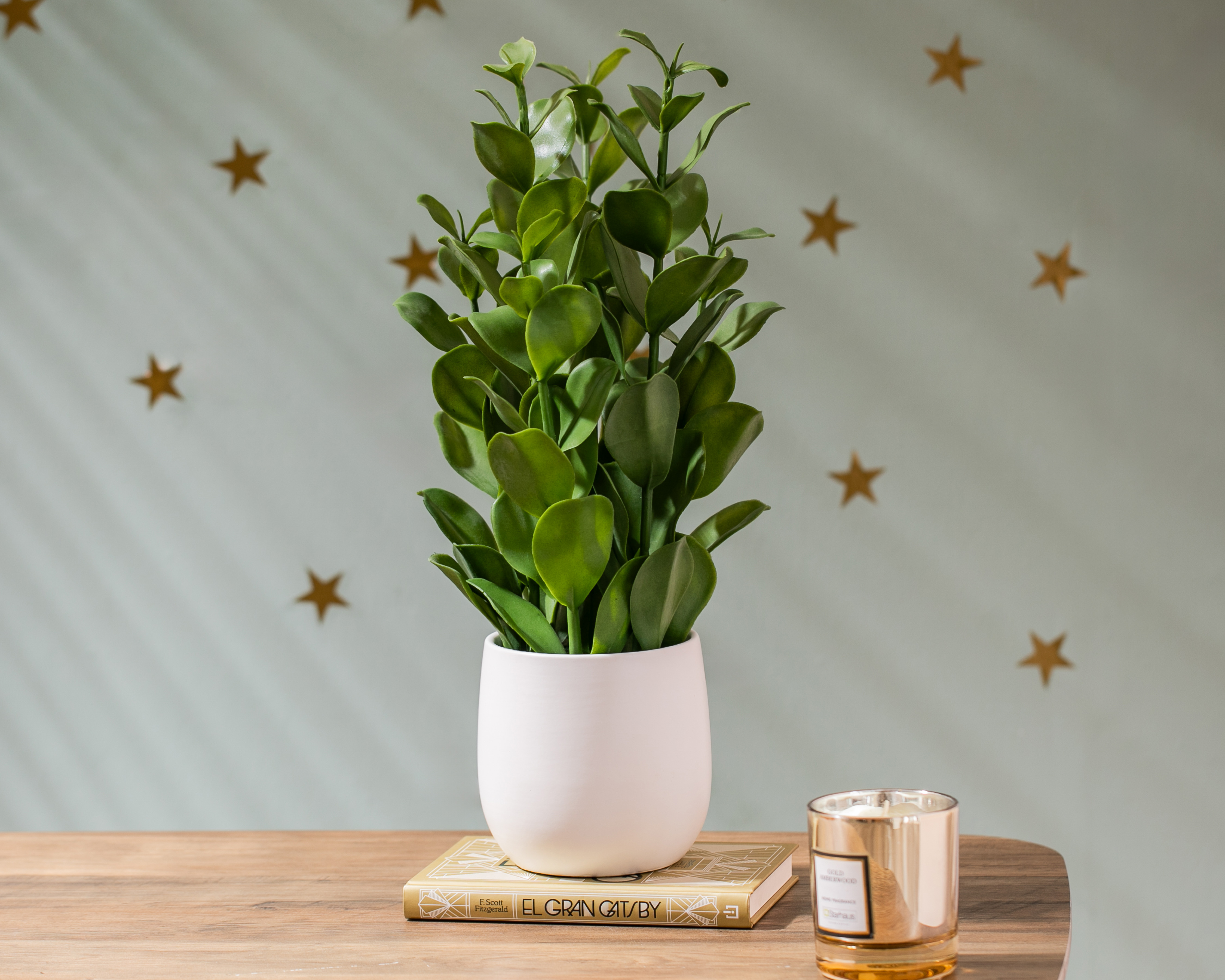 Foto 4 | Foto 4 | Zamioculca Artificial con Maceta Starhaus 47 cm