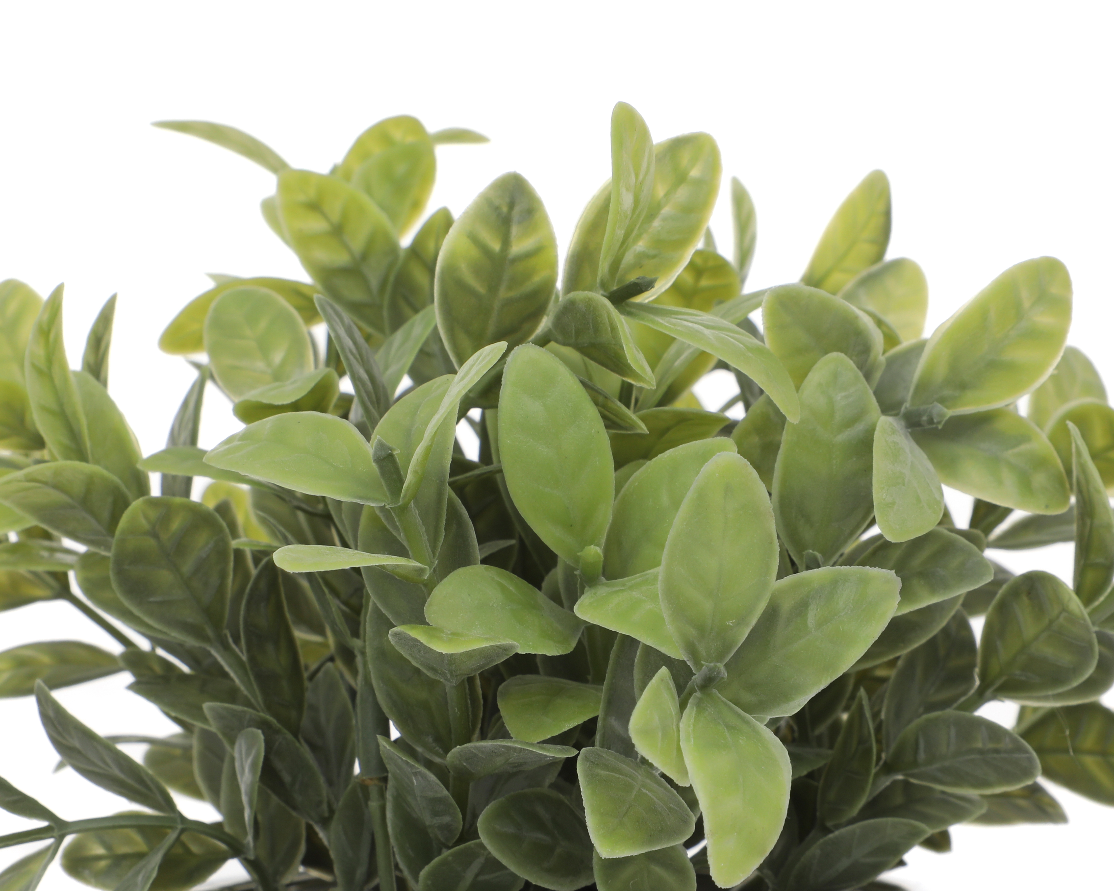 Foto 4 pulgar | Foto 3 | Planta Artificial con Maceta Starhaus 25 cm