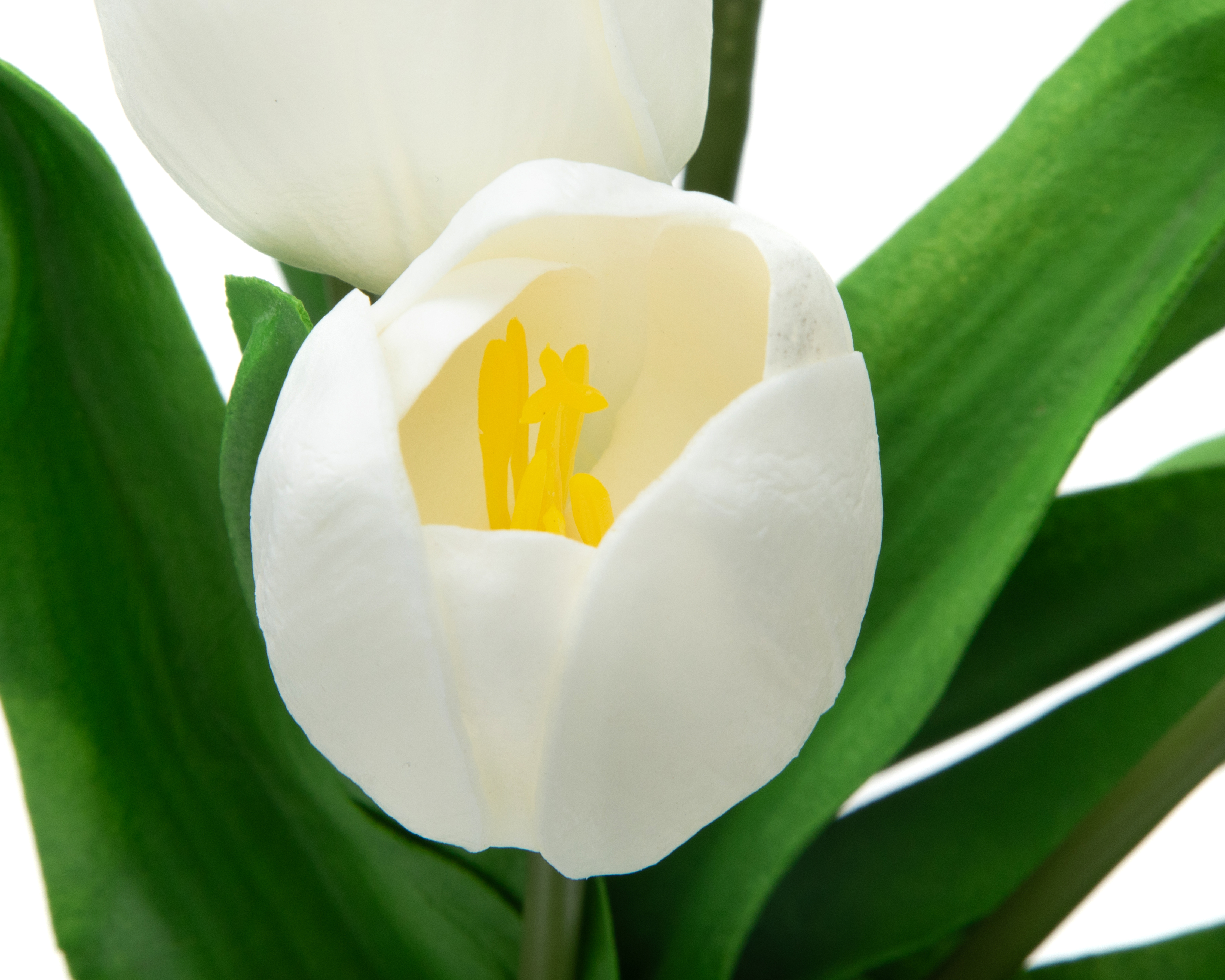 Foto 4 pulgar | Foto 3 | Tulipán Artificial con Florero Starhaus 37 cm