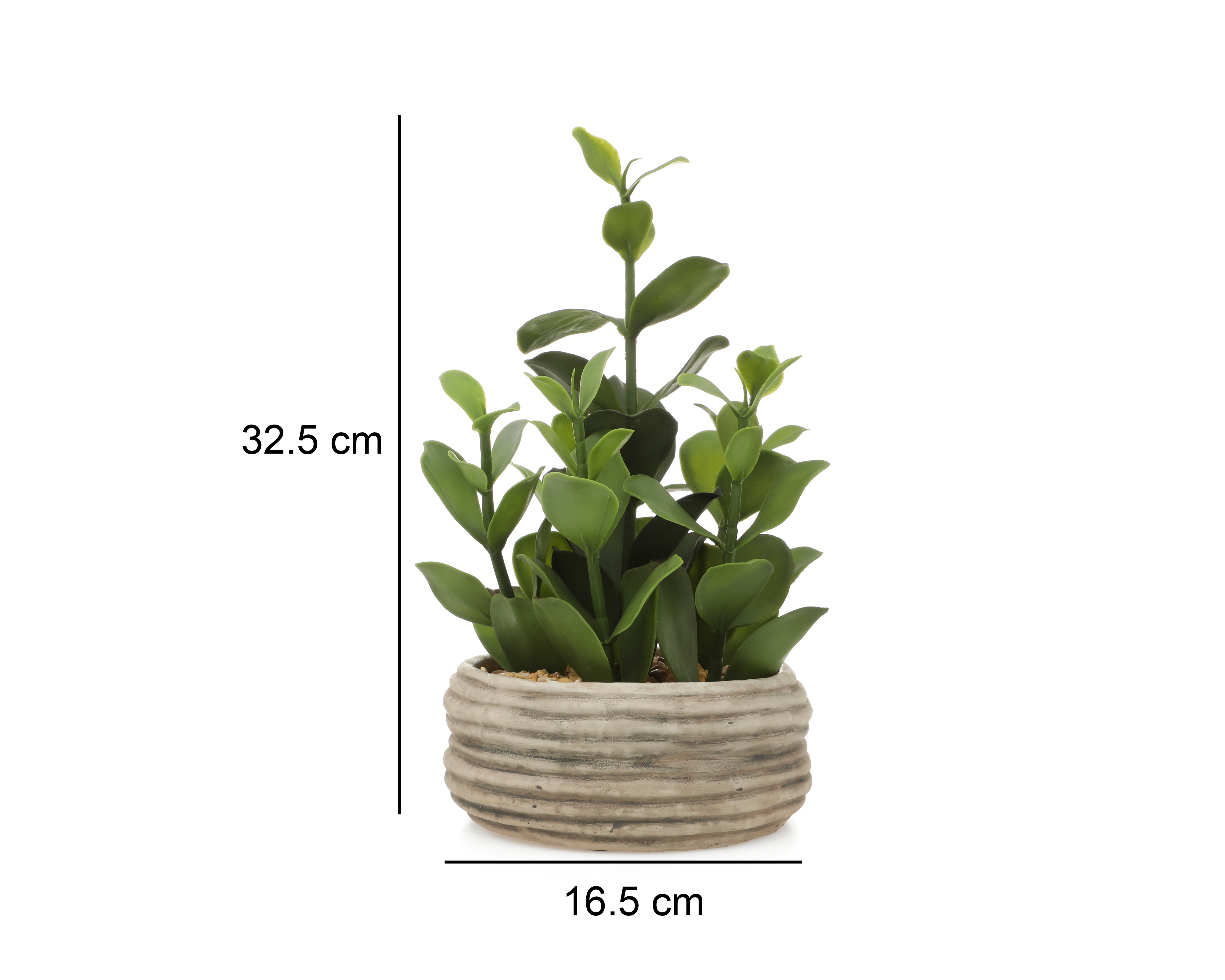 Foto 5 | Foto 5 | Planta Artificial con Maceta Starhaus 32.5 cm