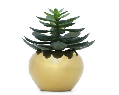 Foto 1 | Foto 1 | Crassula Artificial con Maceta Starhaus 9.5 cm