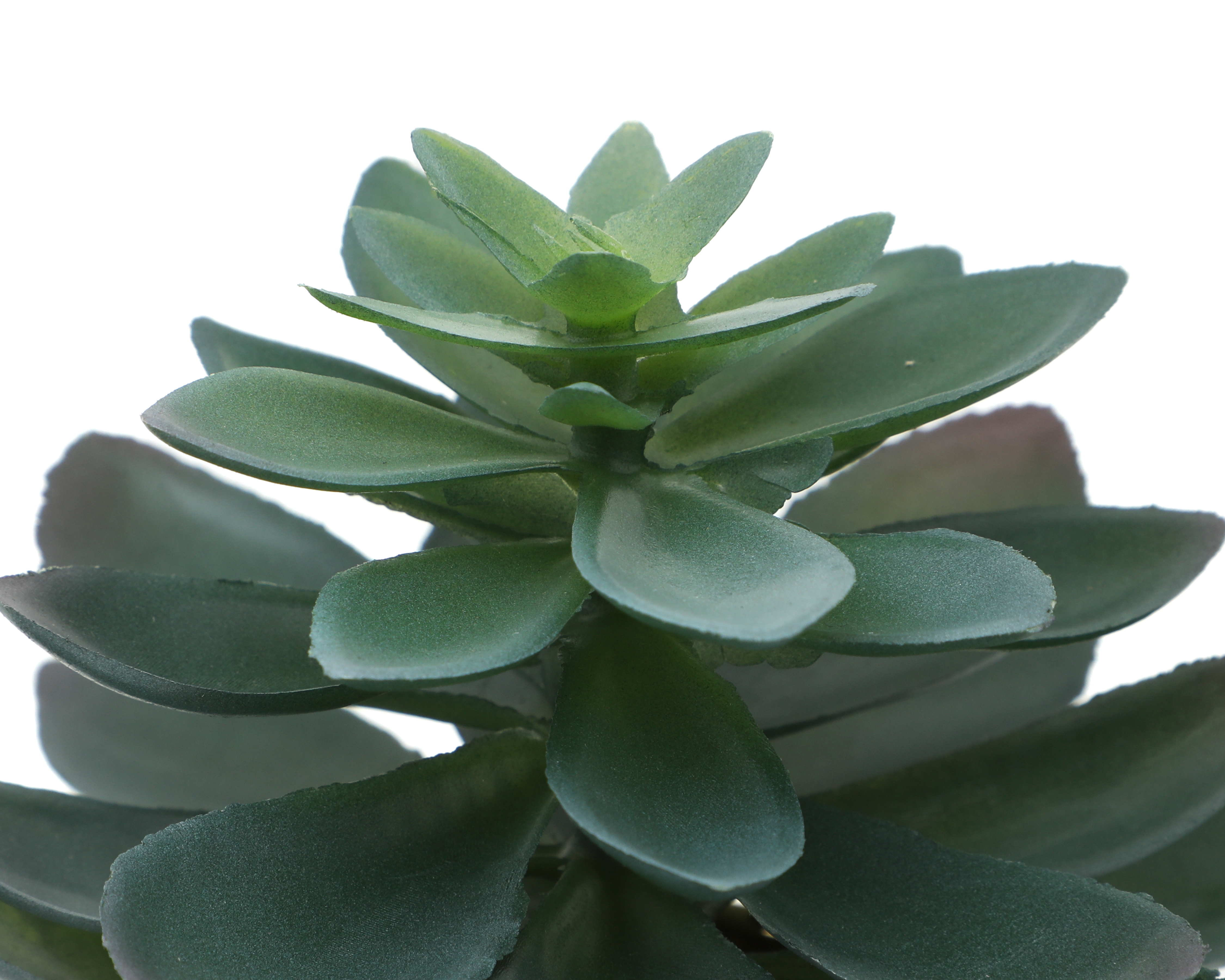 Foto 4 pulgar | Foto 3 | Crassula Artificial con Maceta Starhaus 9.5 cm